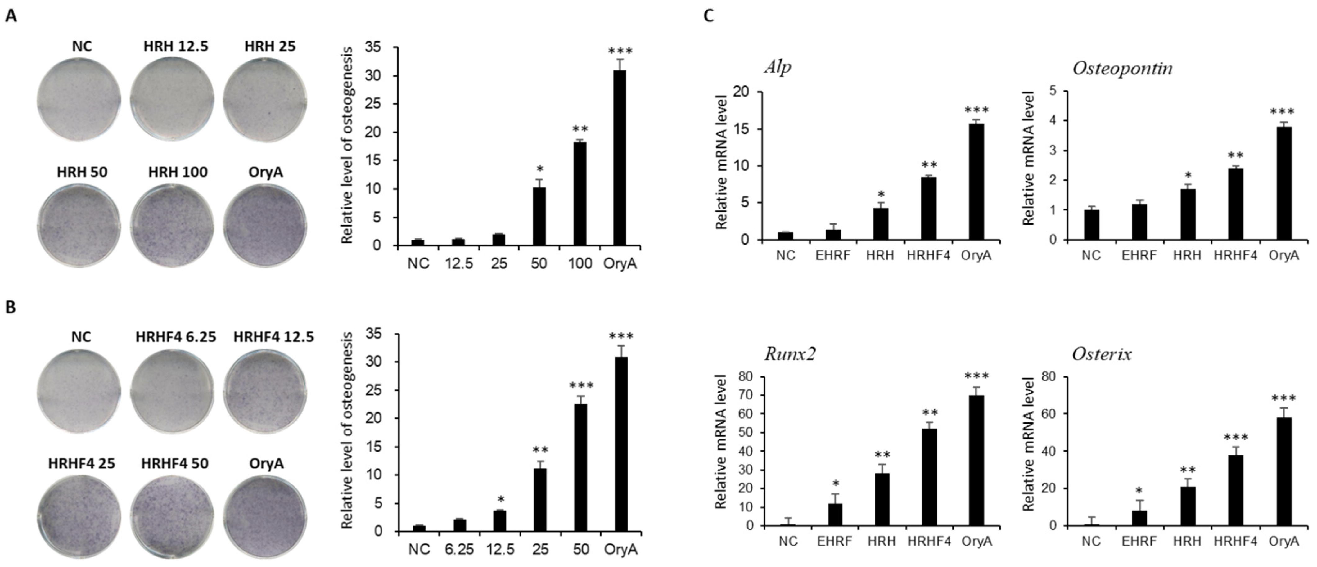 Nutrients 14 03604 g002