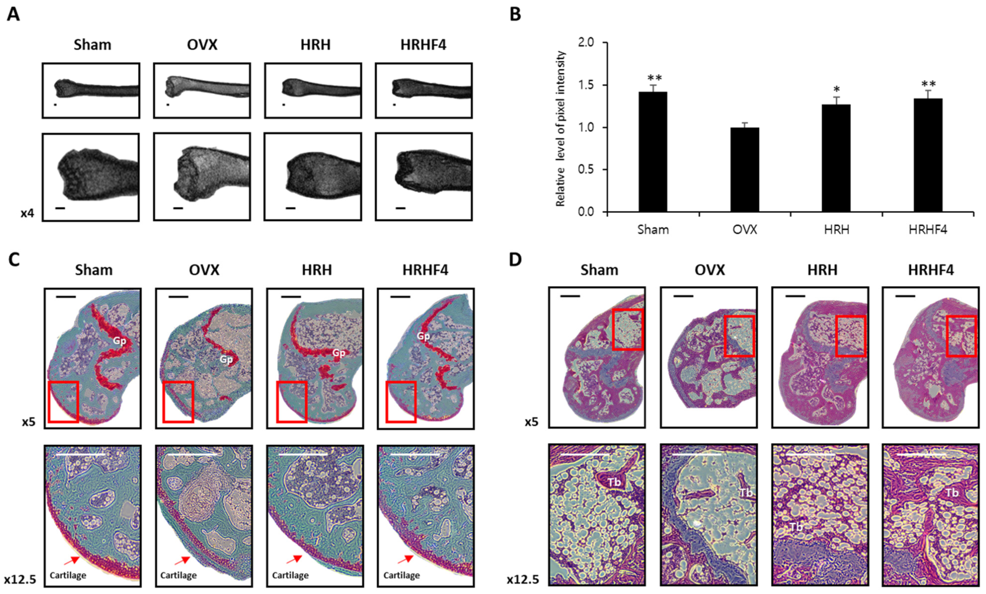 Nutrients 14 03604 g004