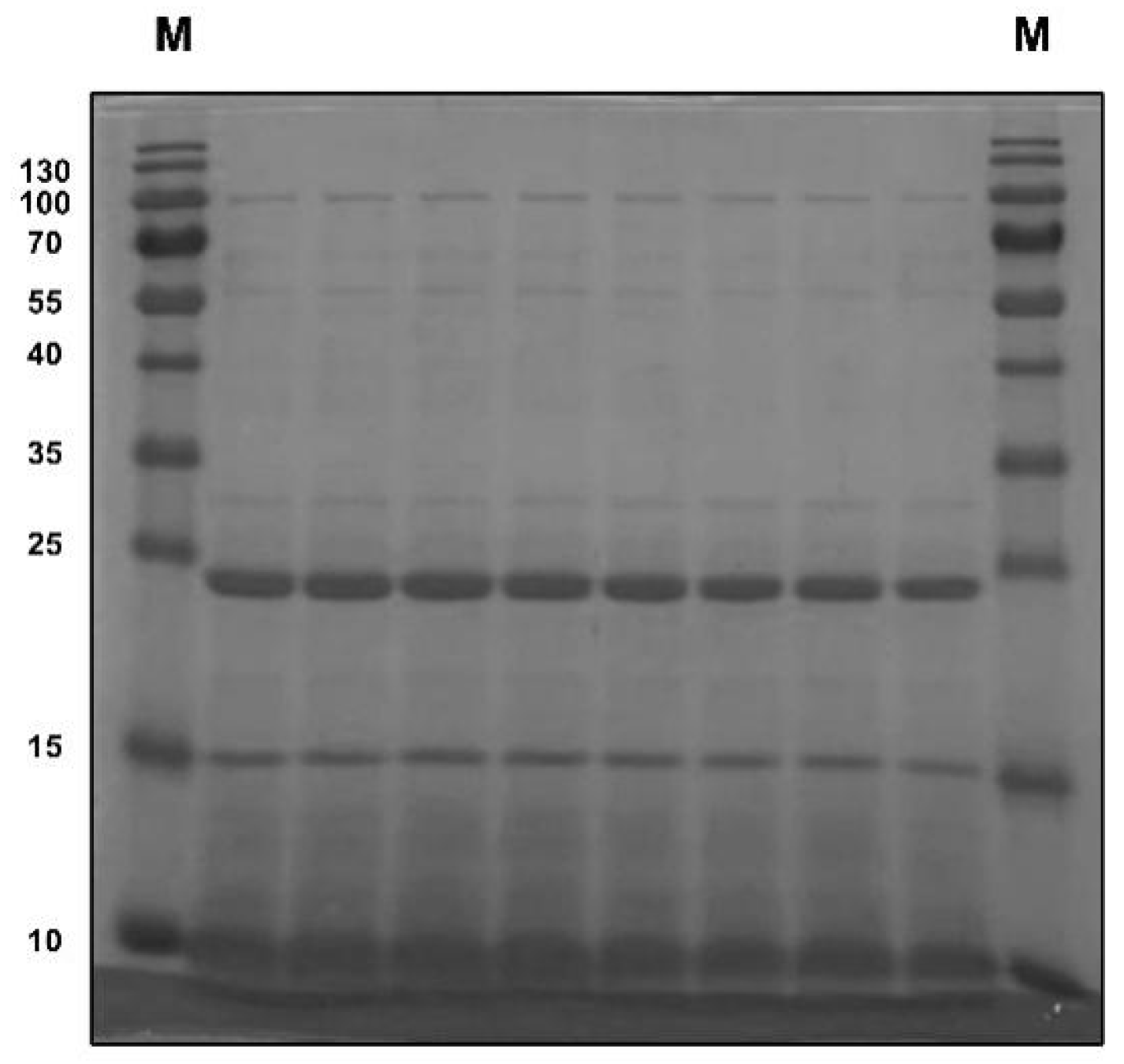 Nutrients 14 03611 g001
