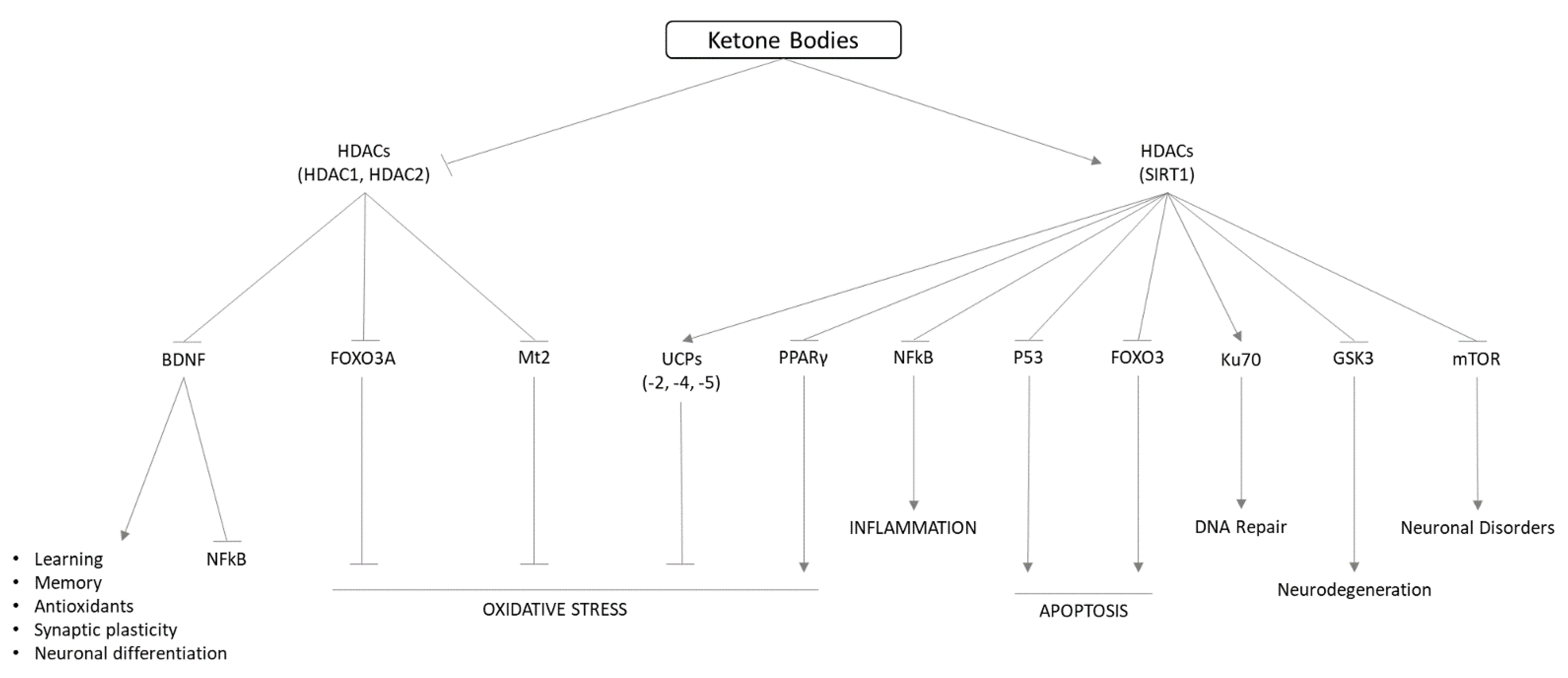 Nutrients 14 03613 g003 Nutrients 14 03613 g003