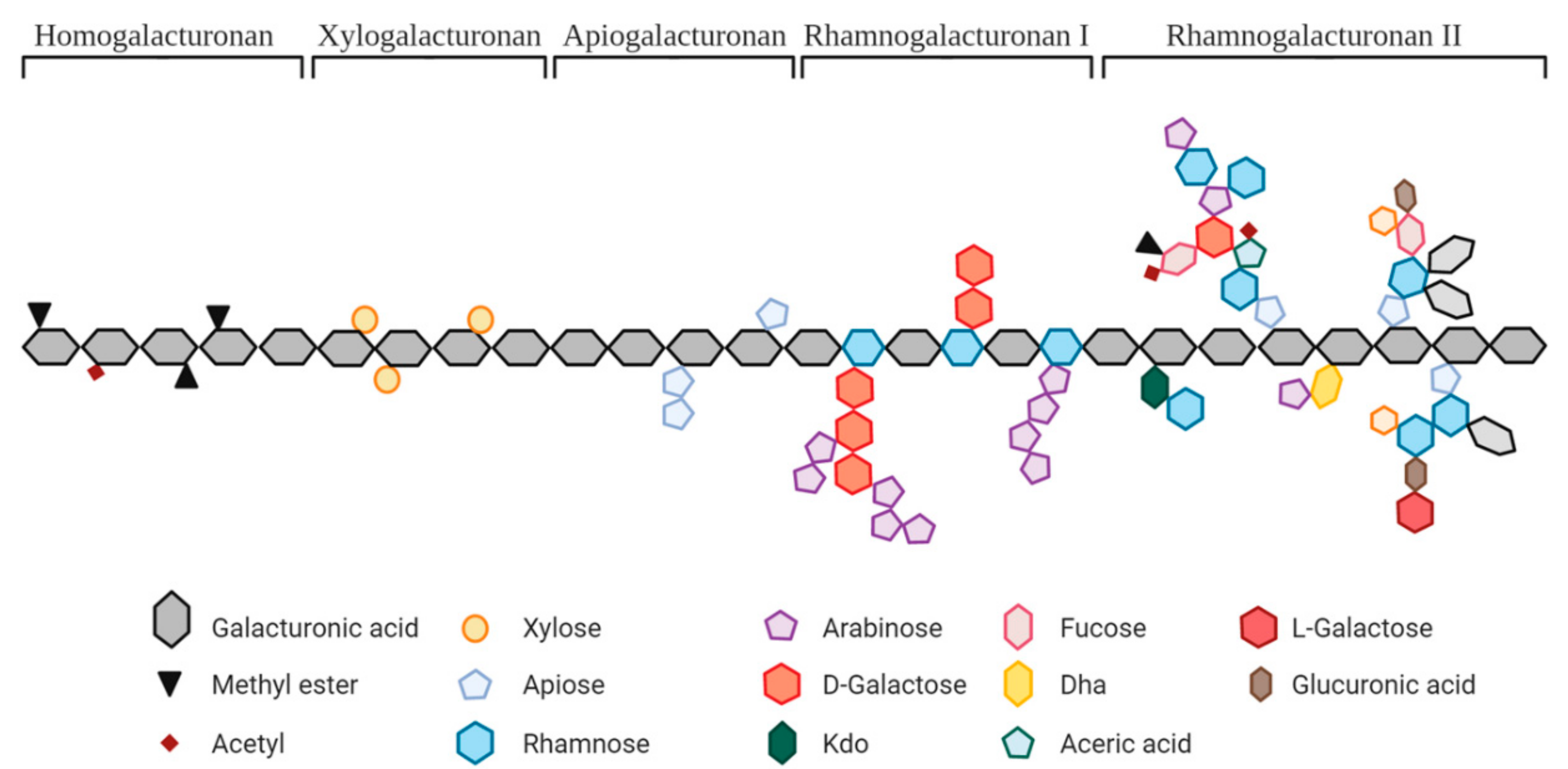 Nutrients 14 03629 g001