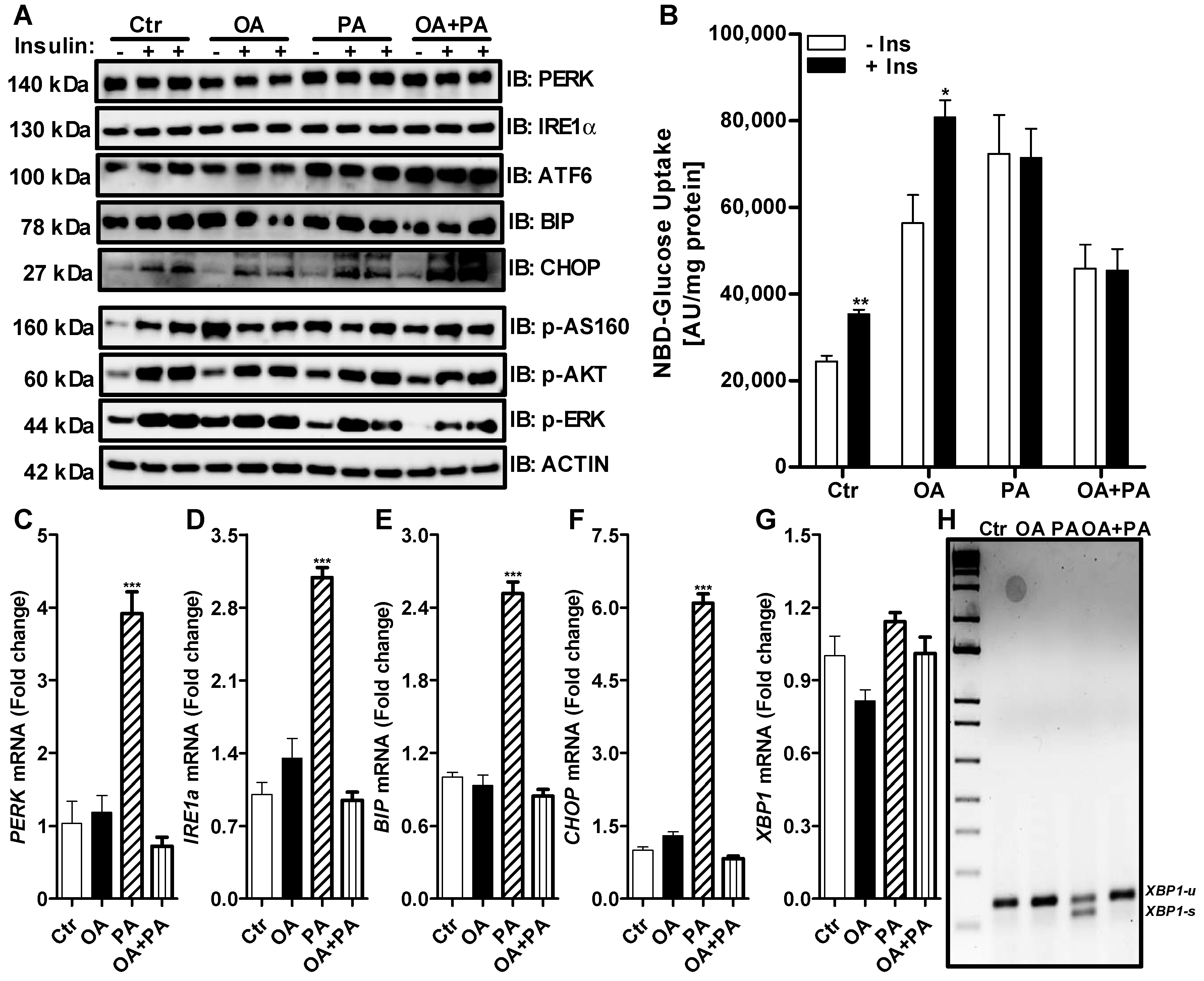Nutrients 14 03641 g004