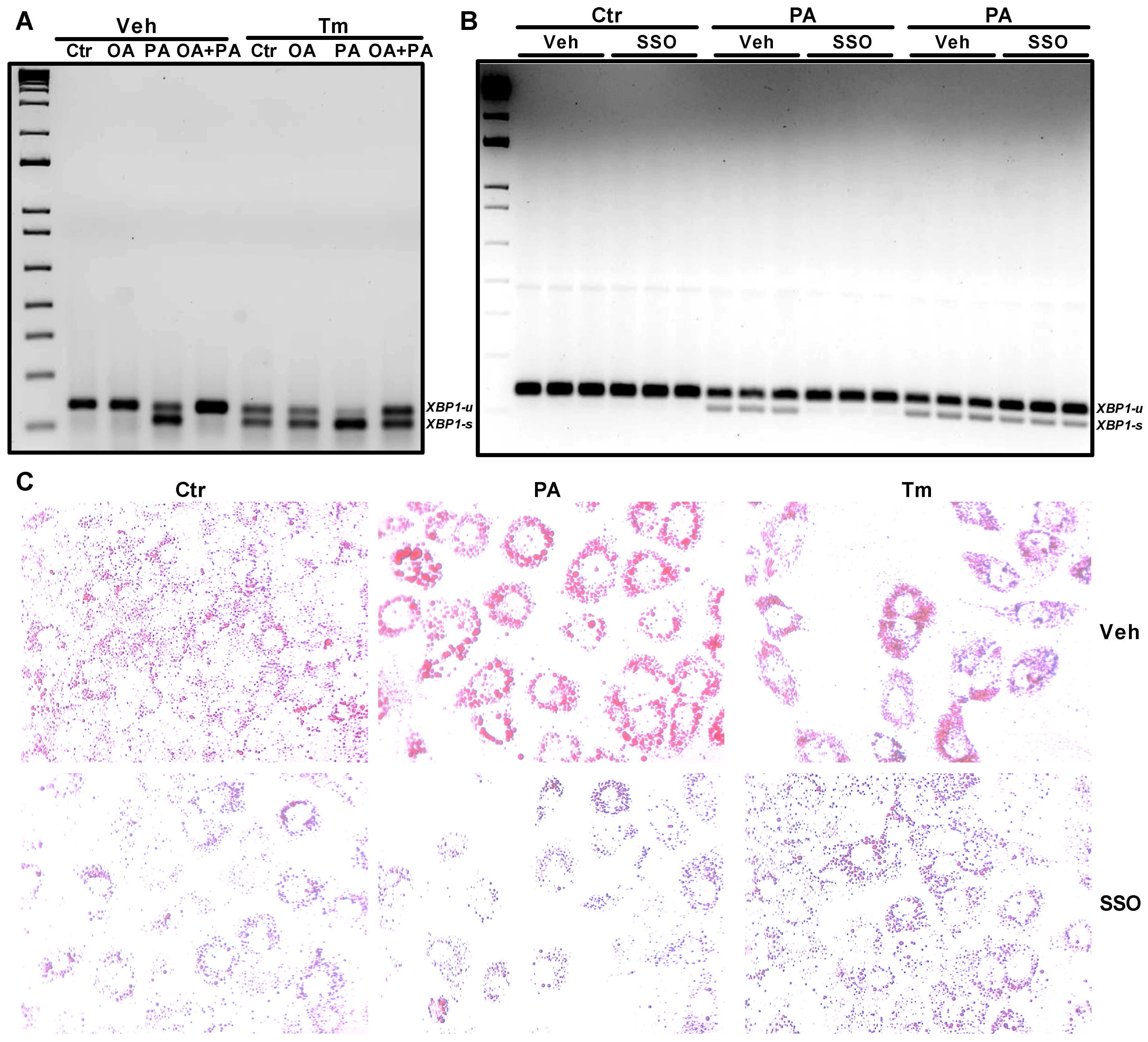 Nutrients 14 03641 g006
