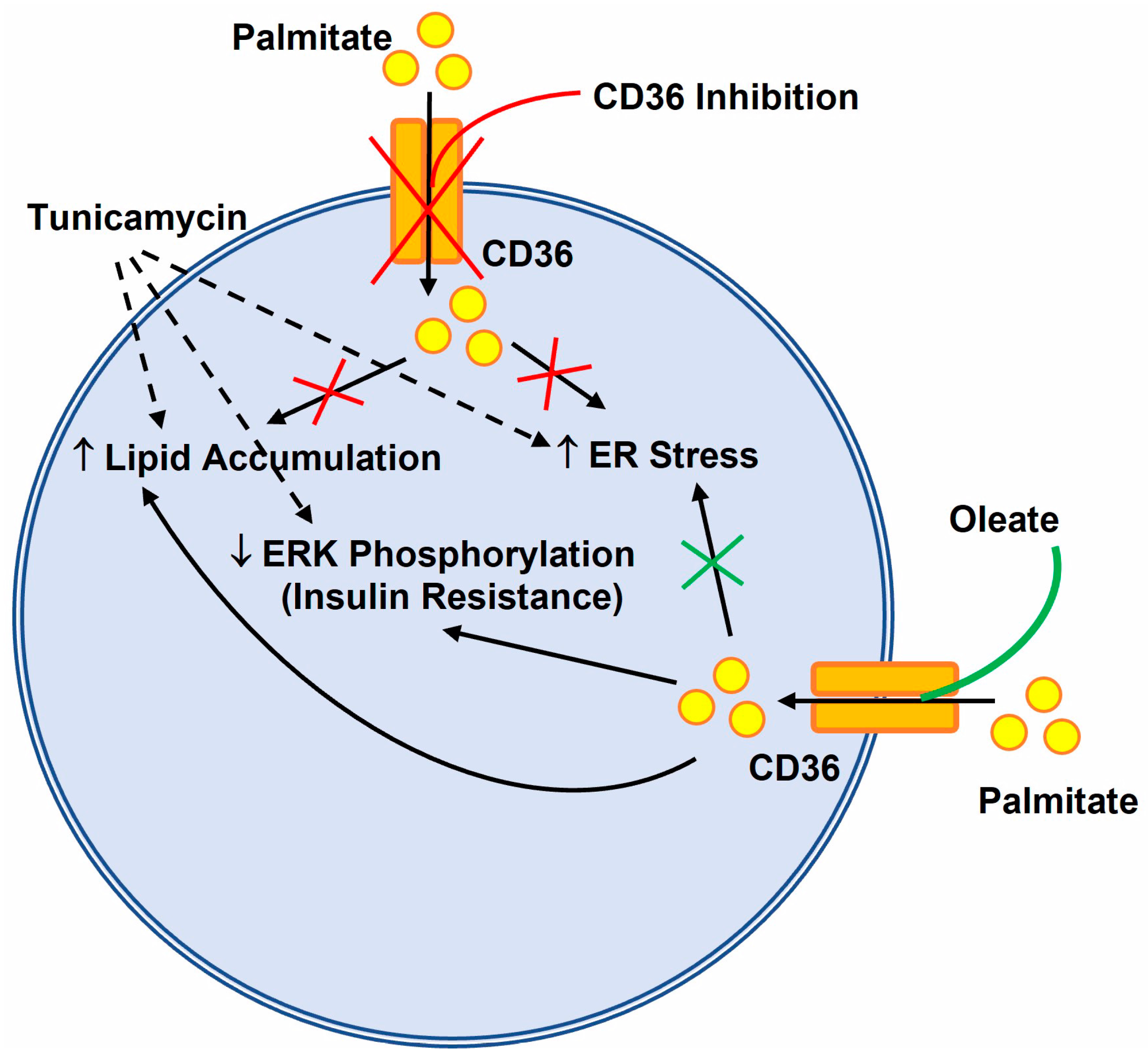 Nutrients 14 03641 g007