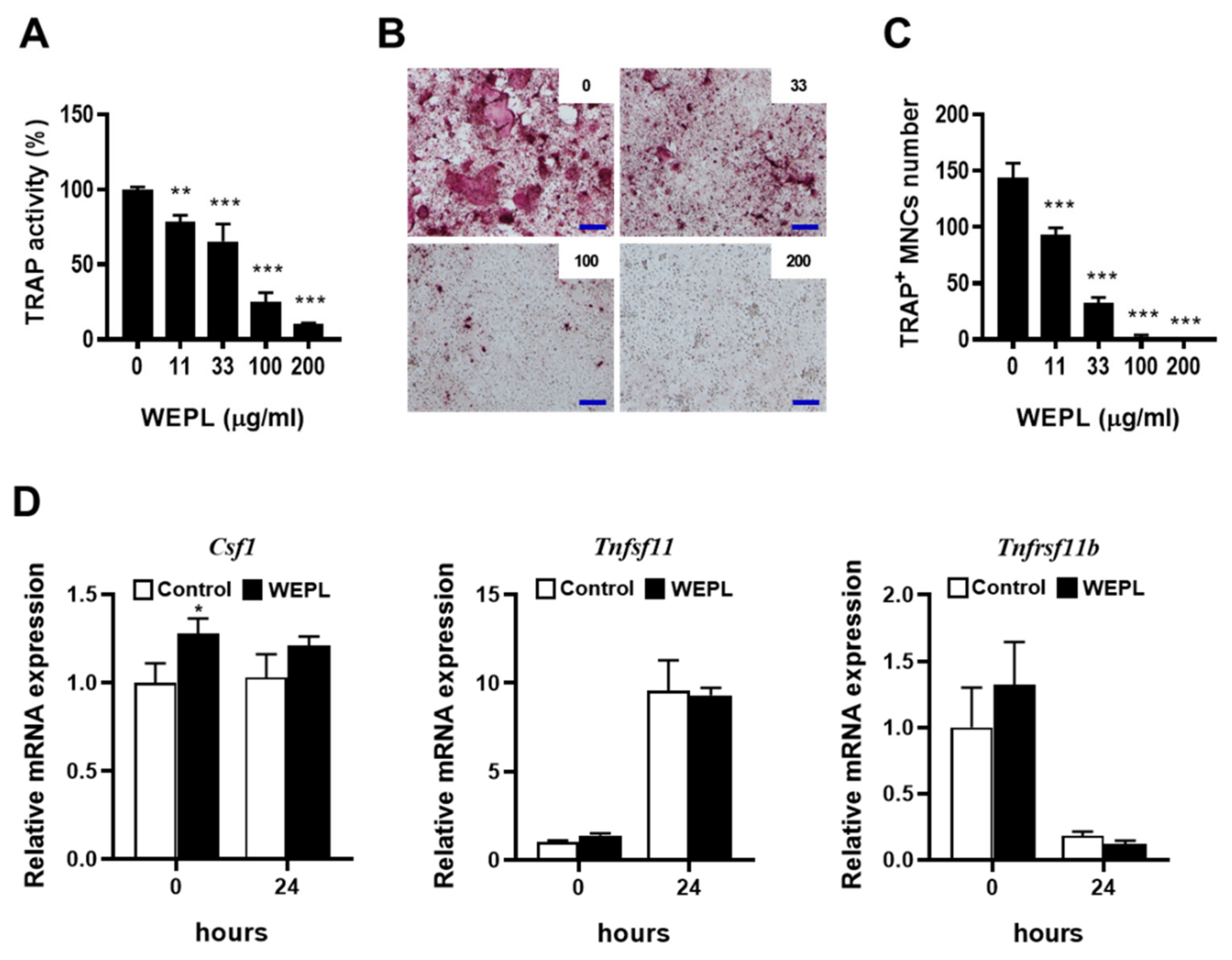 Nutrients 14 03667 g001 Nutrients 14 03667 g001