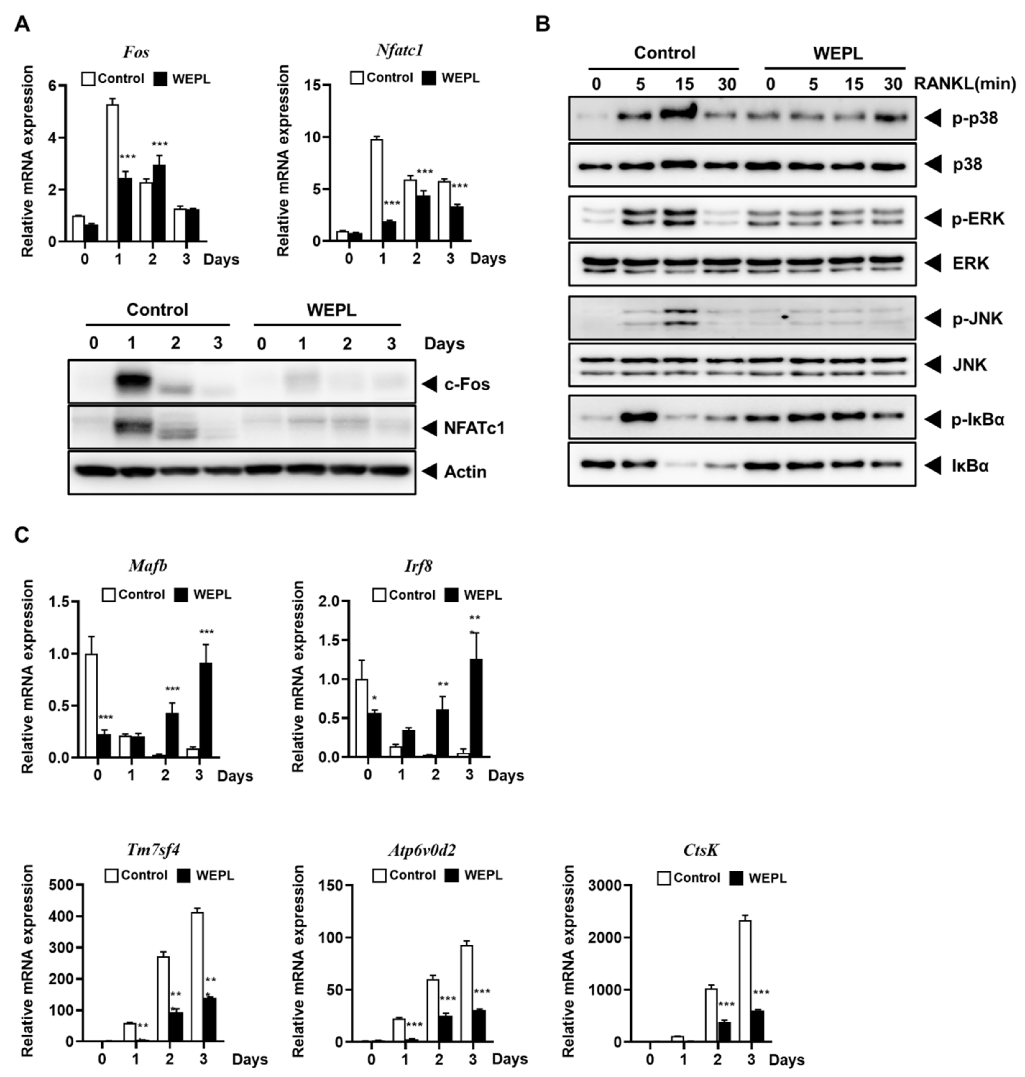 Nutrients 14 03667 g003 Nutrients 14 03667 g003