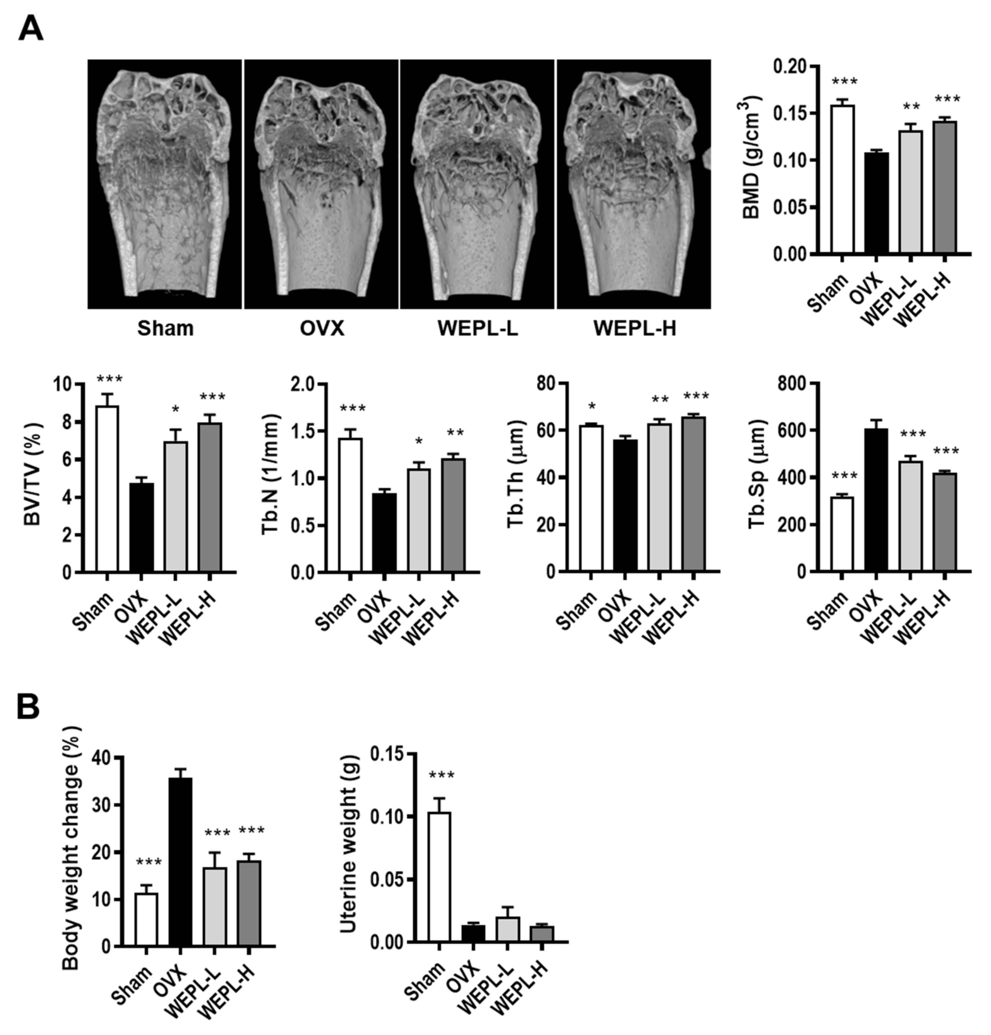 Nutrients 14 03667 g004 Nutrients 14 03667 g004
