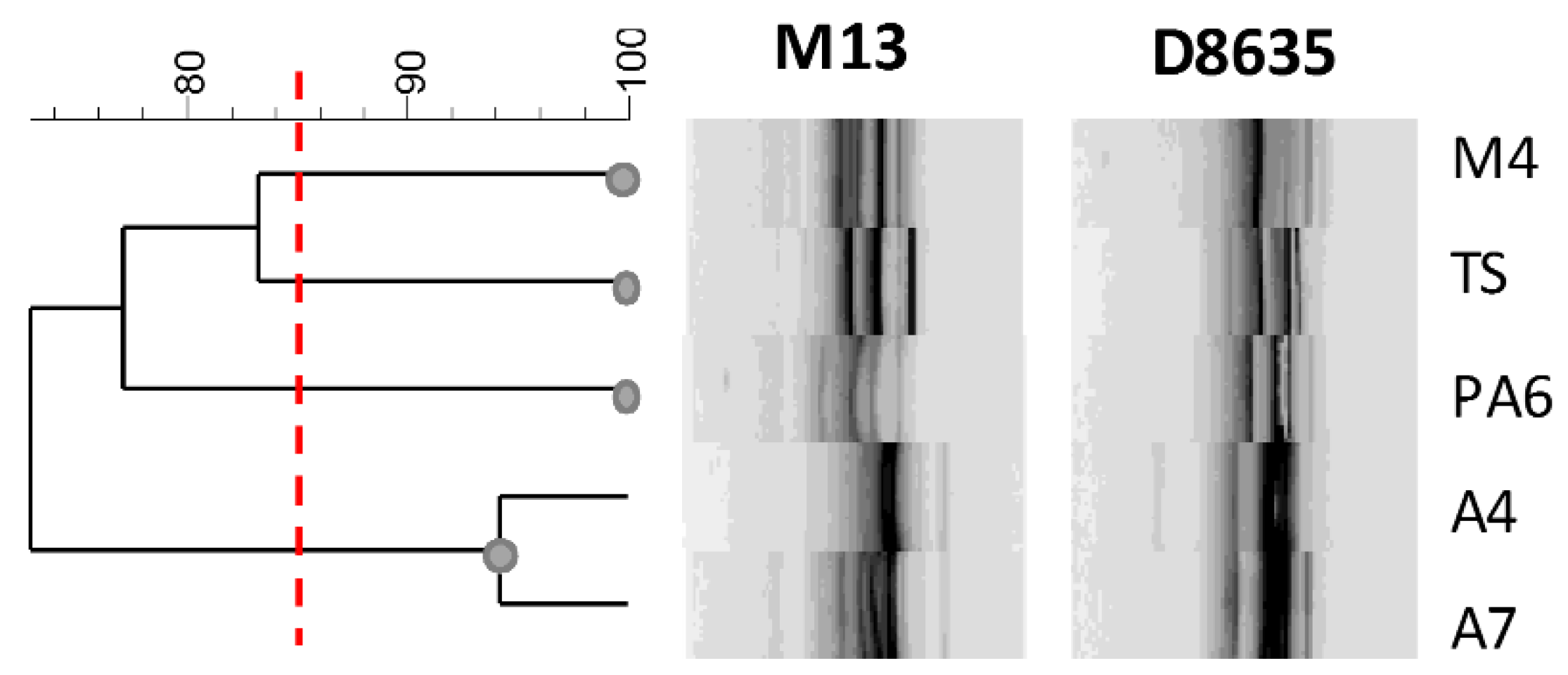 Nutrients 14 03679 g005