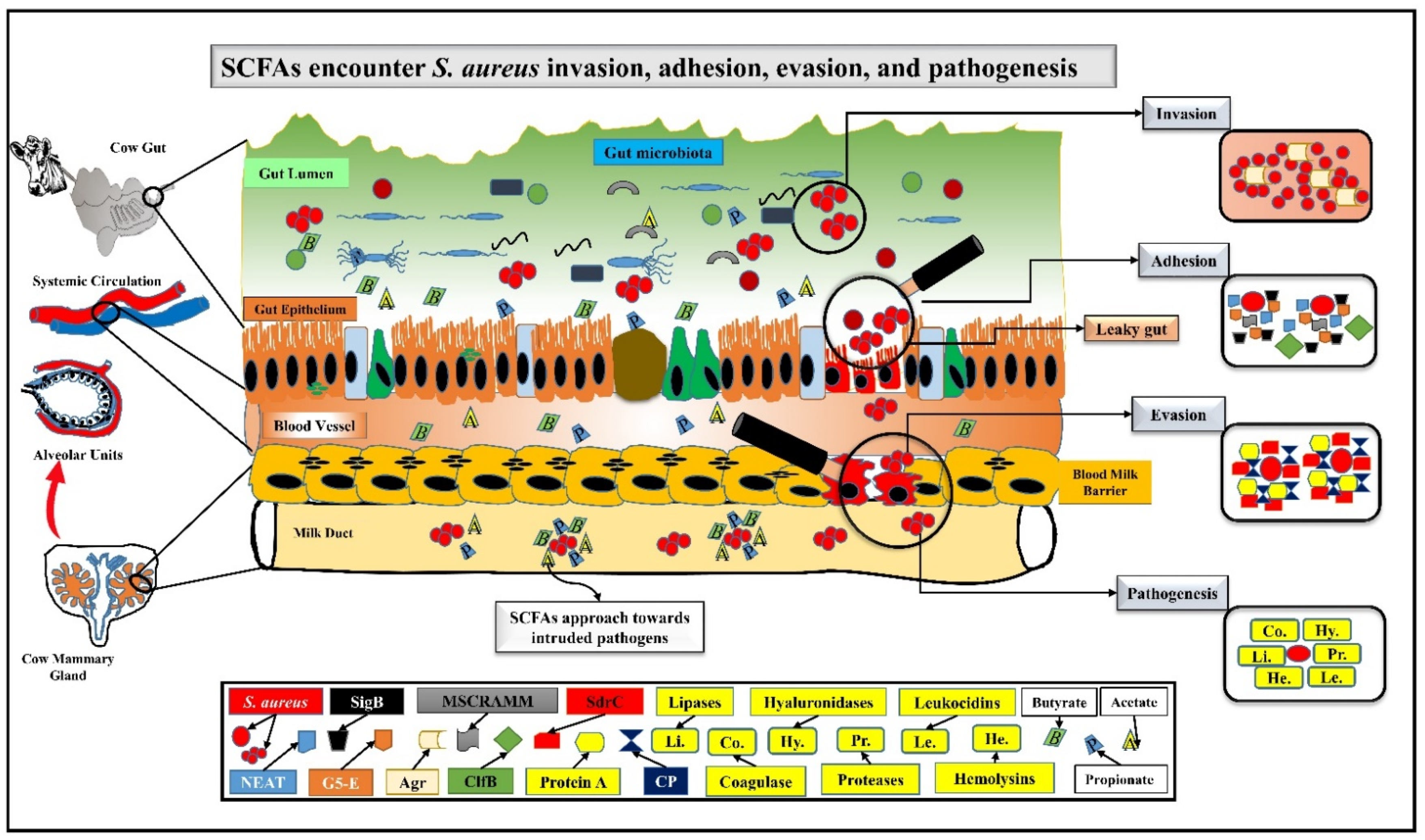 Nutrients 14 03687 g001