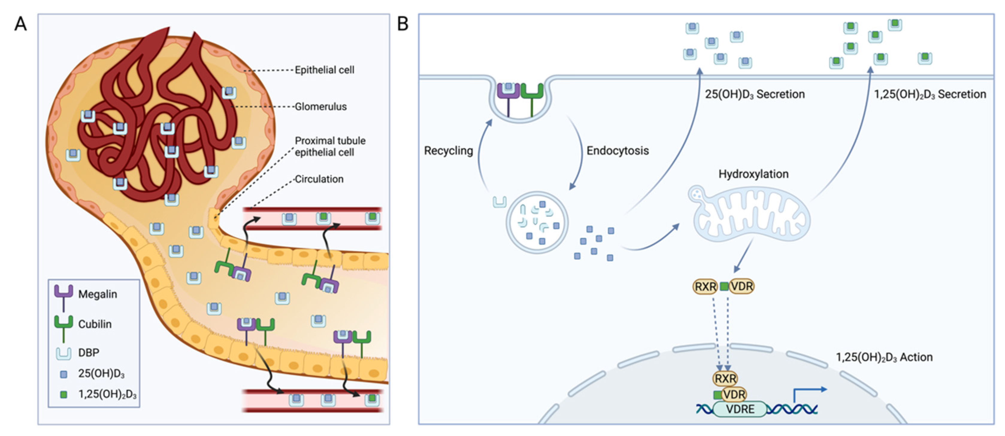 Nutrients 14 03690 g003