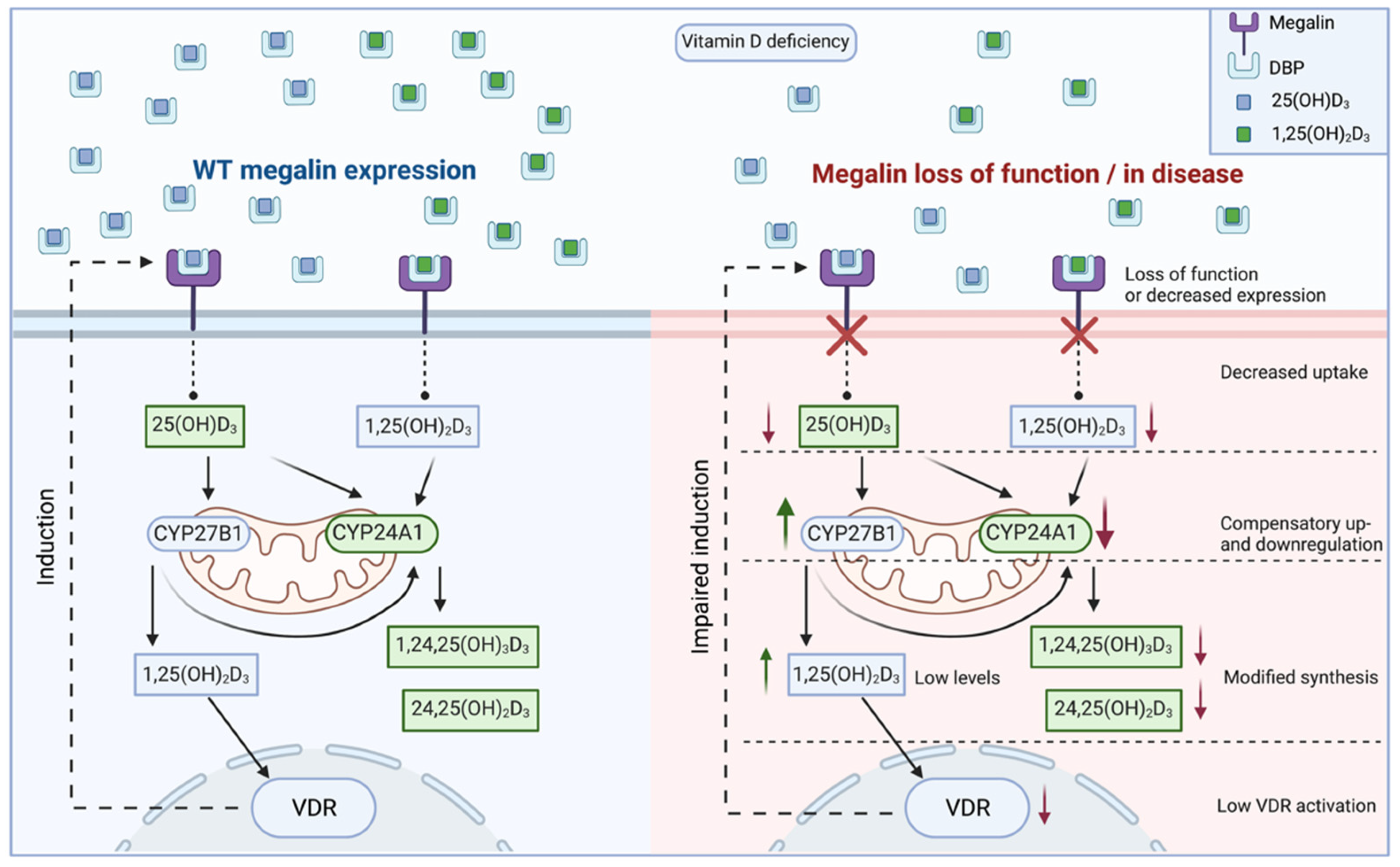 Nutrients 14 03690 g004