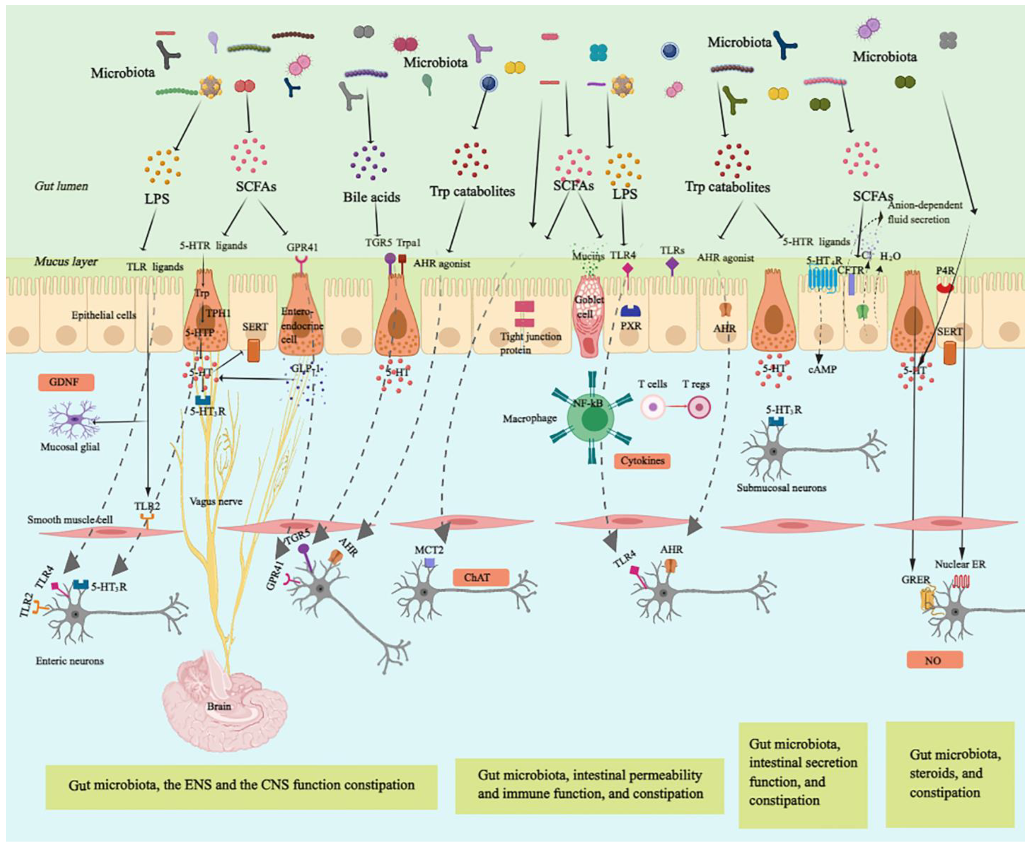 Nutrients 14 03704 g001