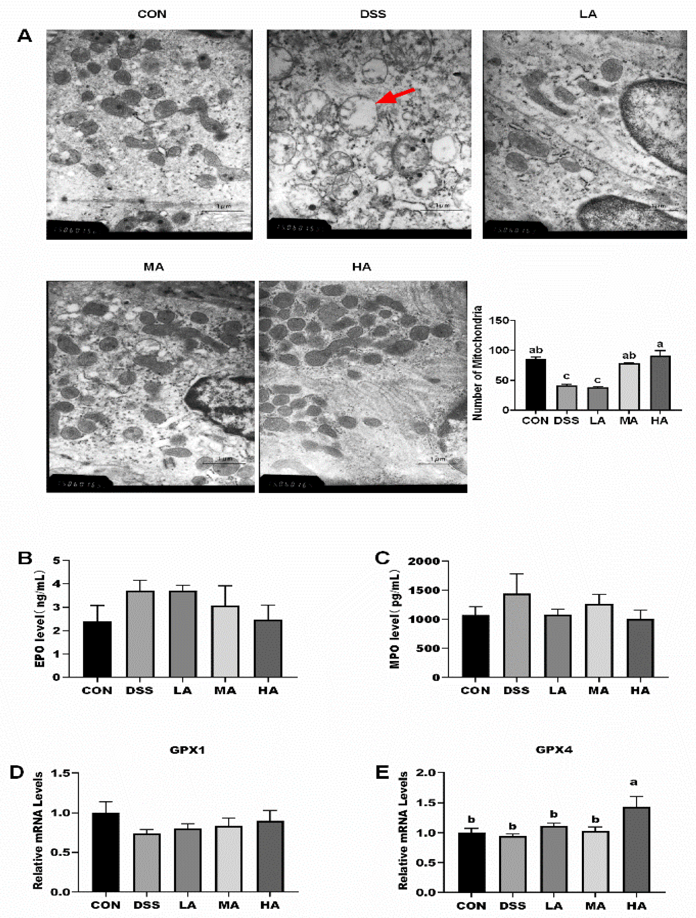 Nutrients 14 03707 g003