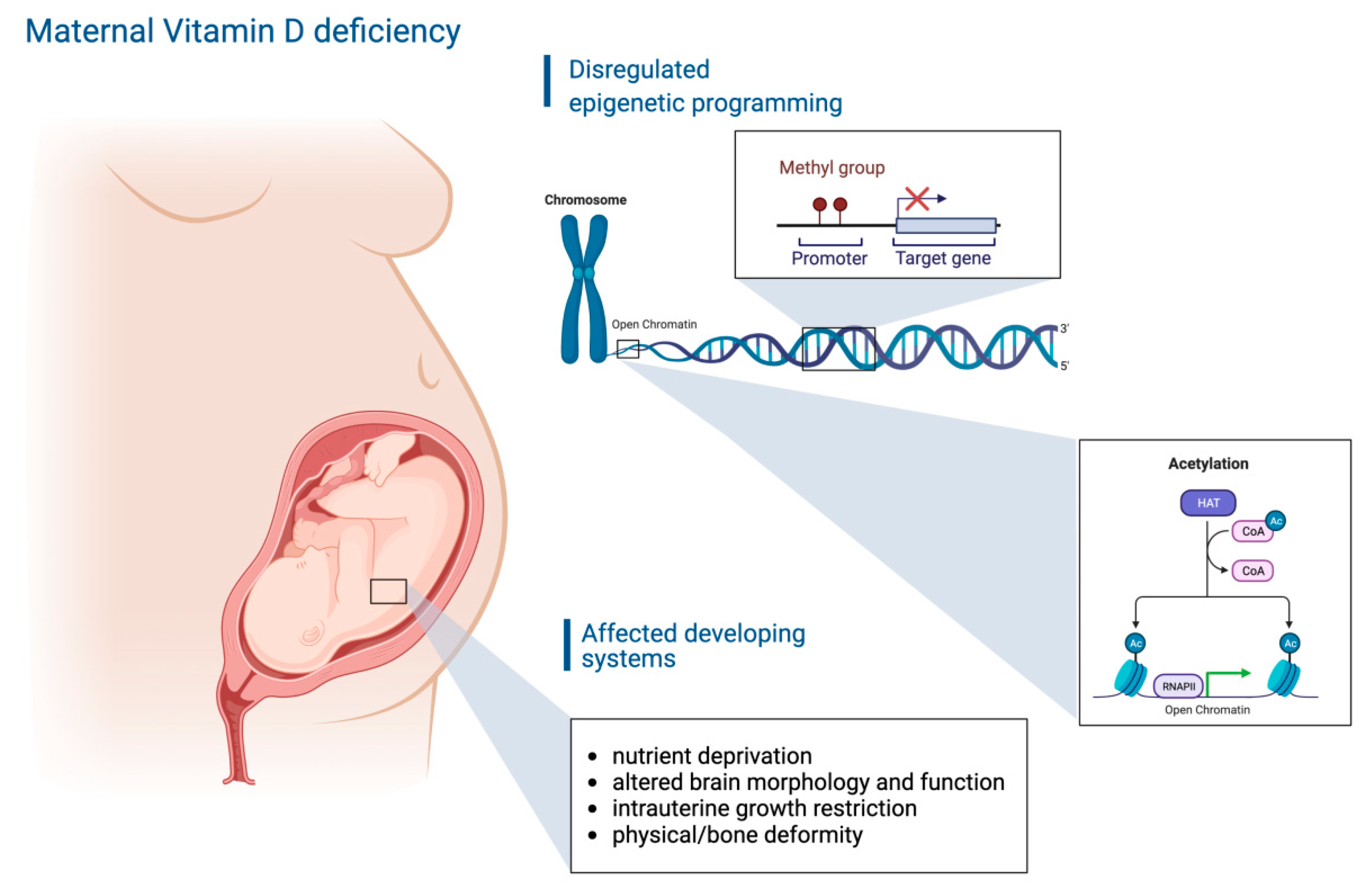 Nutrients 14 03712 g002