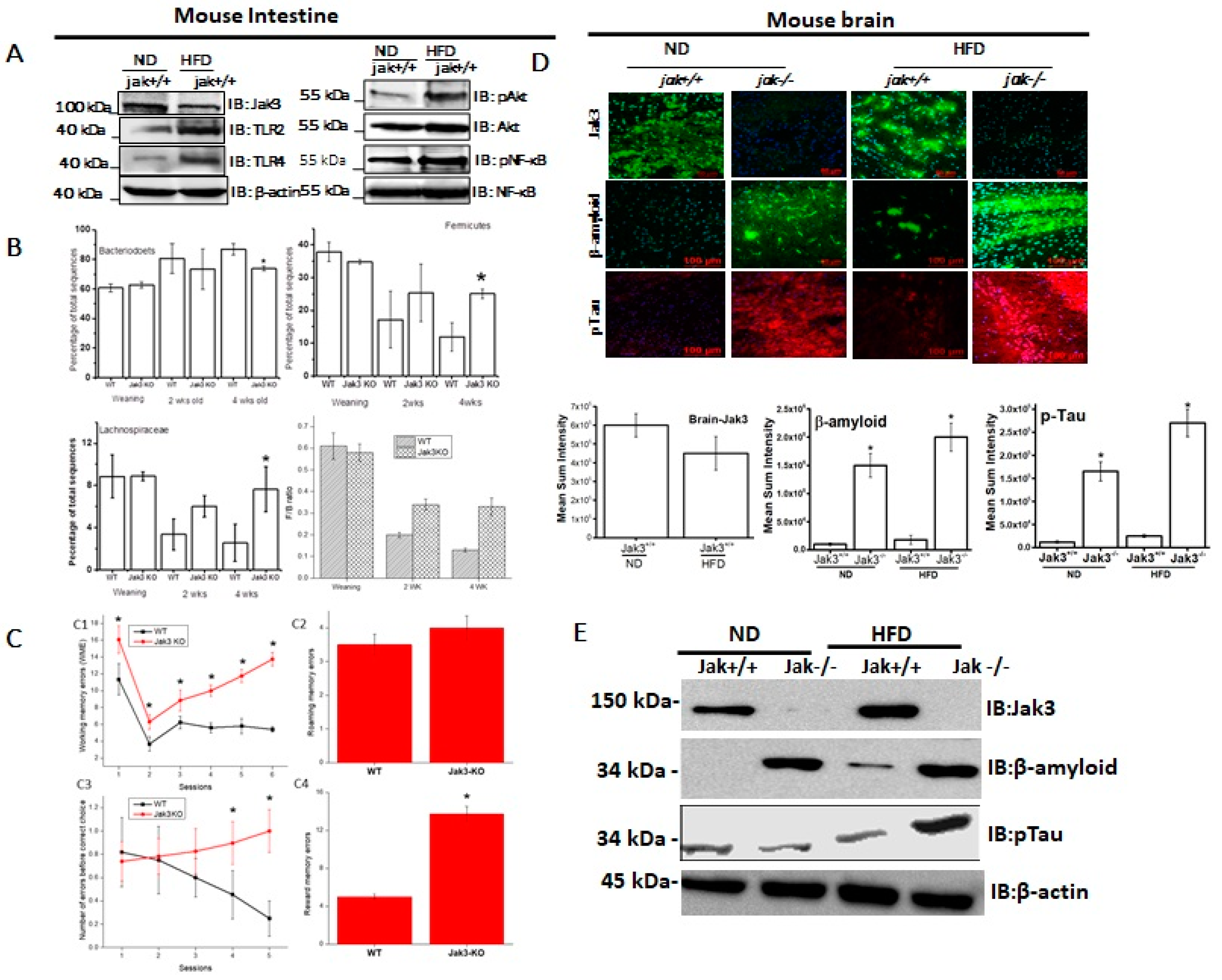 Nutrients 14 03715 g001
