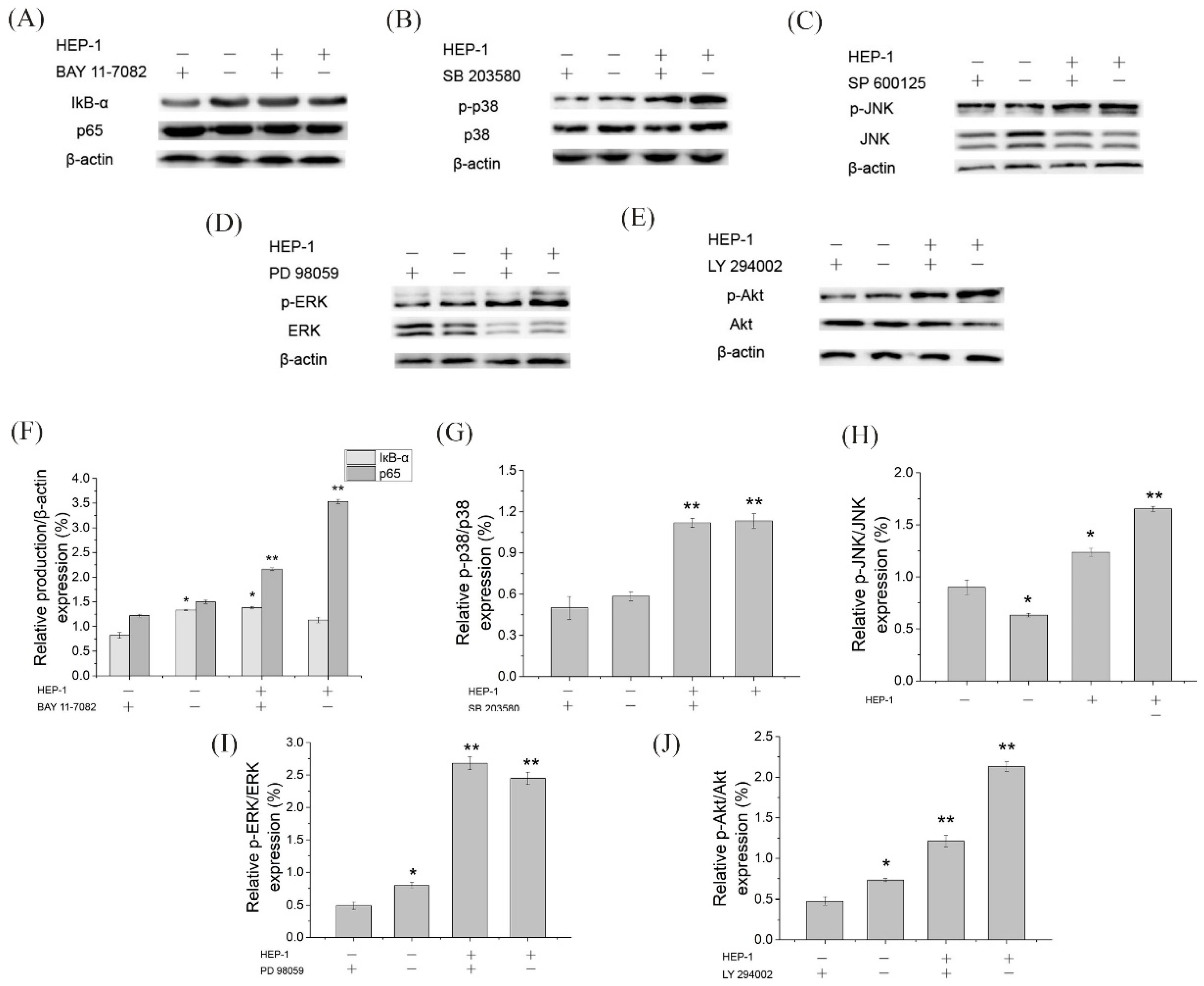 Nutrients 14 03721 g005