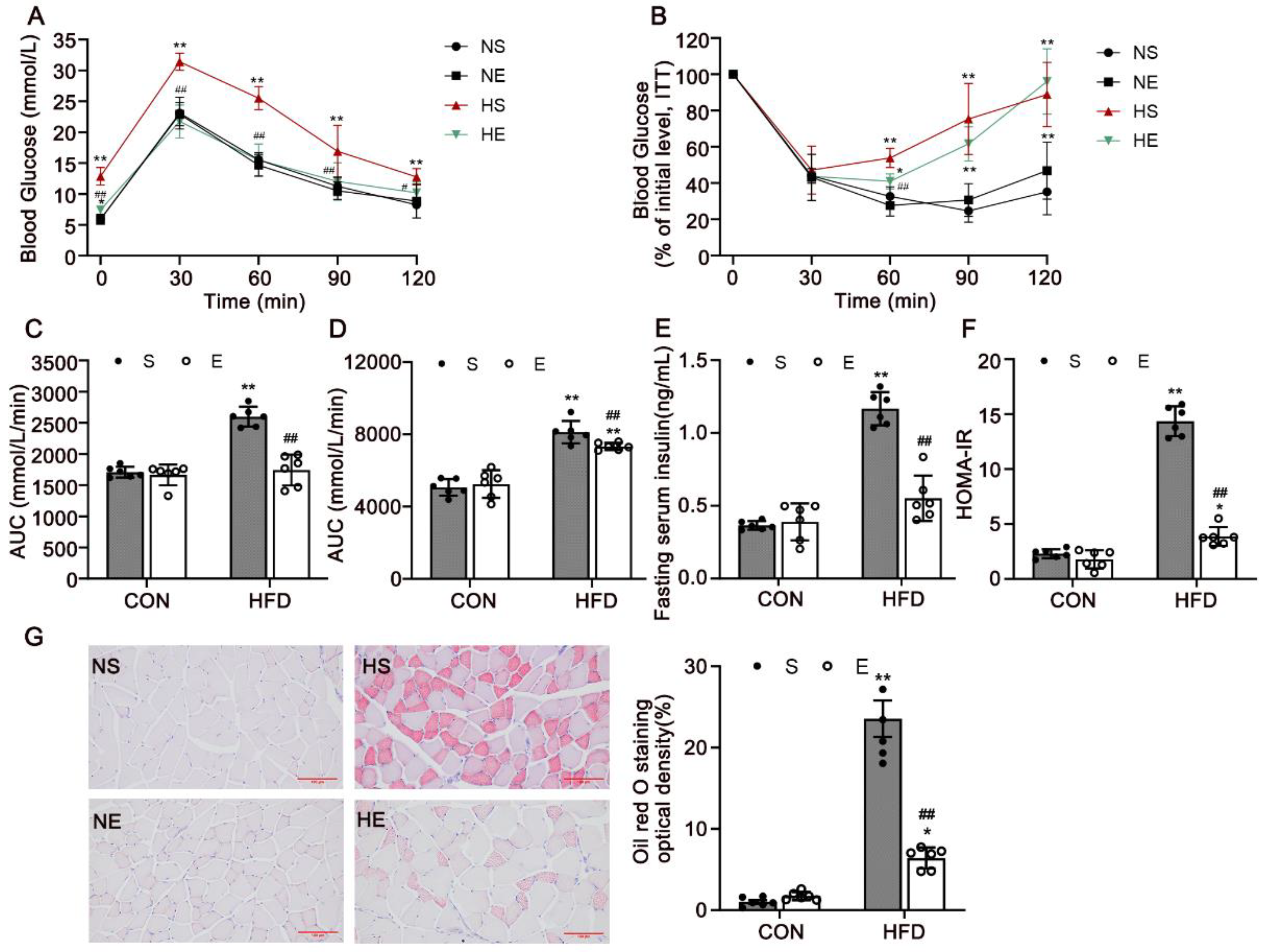 Nutrients 14 03730 g003 Nutrients 14 03730 g003