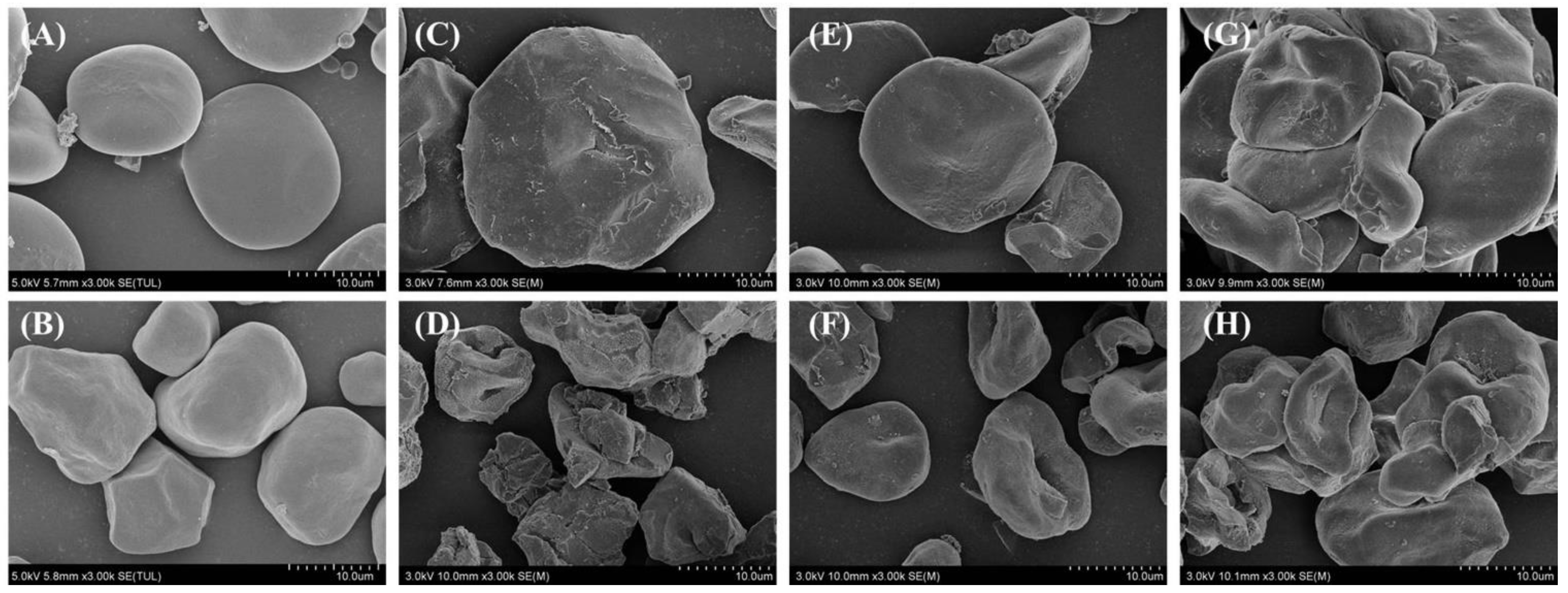 Nutrients 14 03743 g002 Nutrients 14 03743 g002