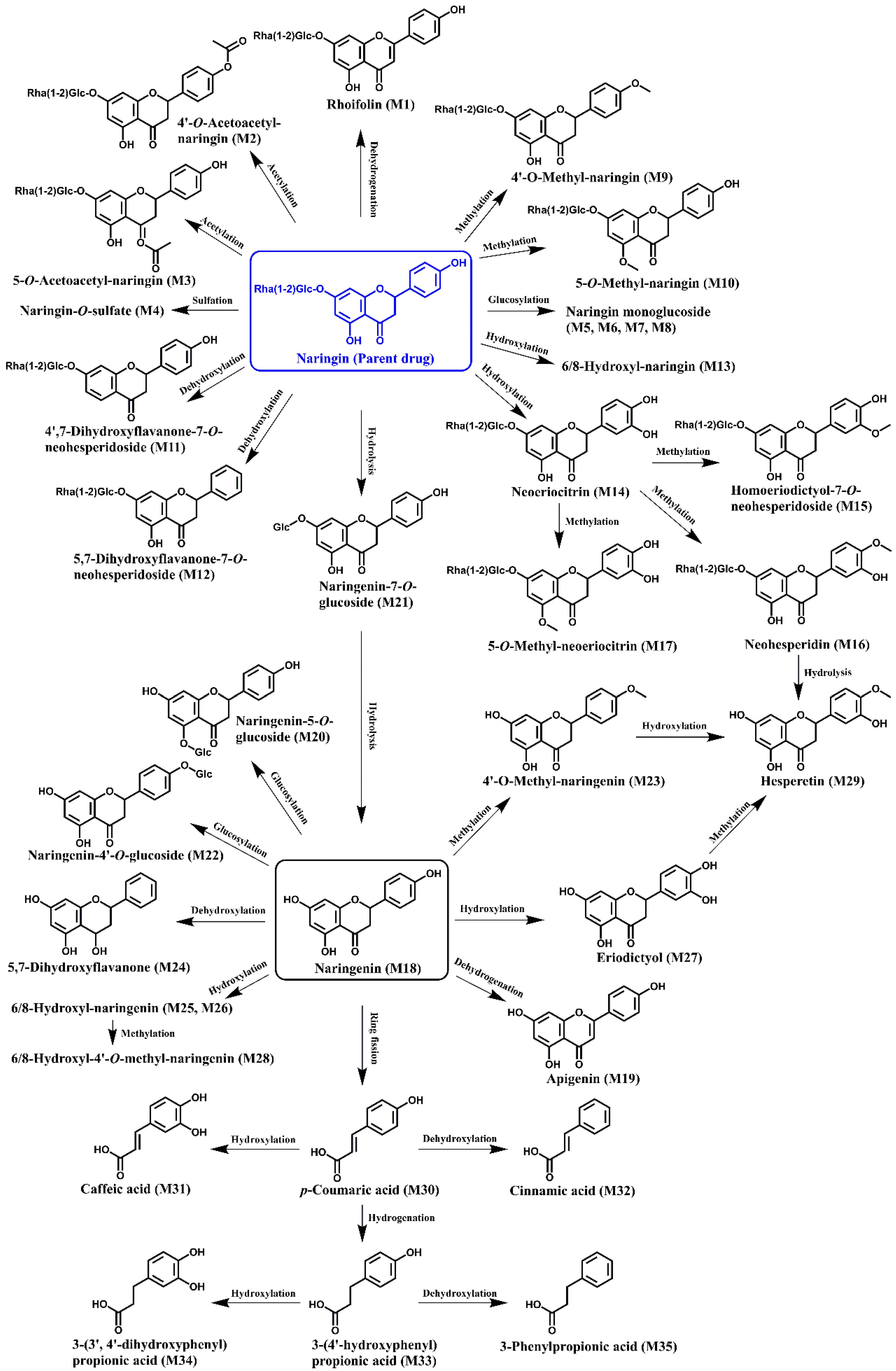Nutrients 14 03765 g001 Nutrients 14 03765 g001