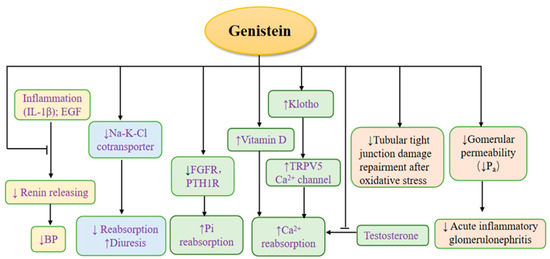 Nutrients 14 03768 g003