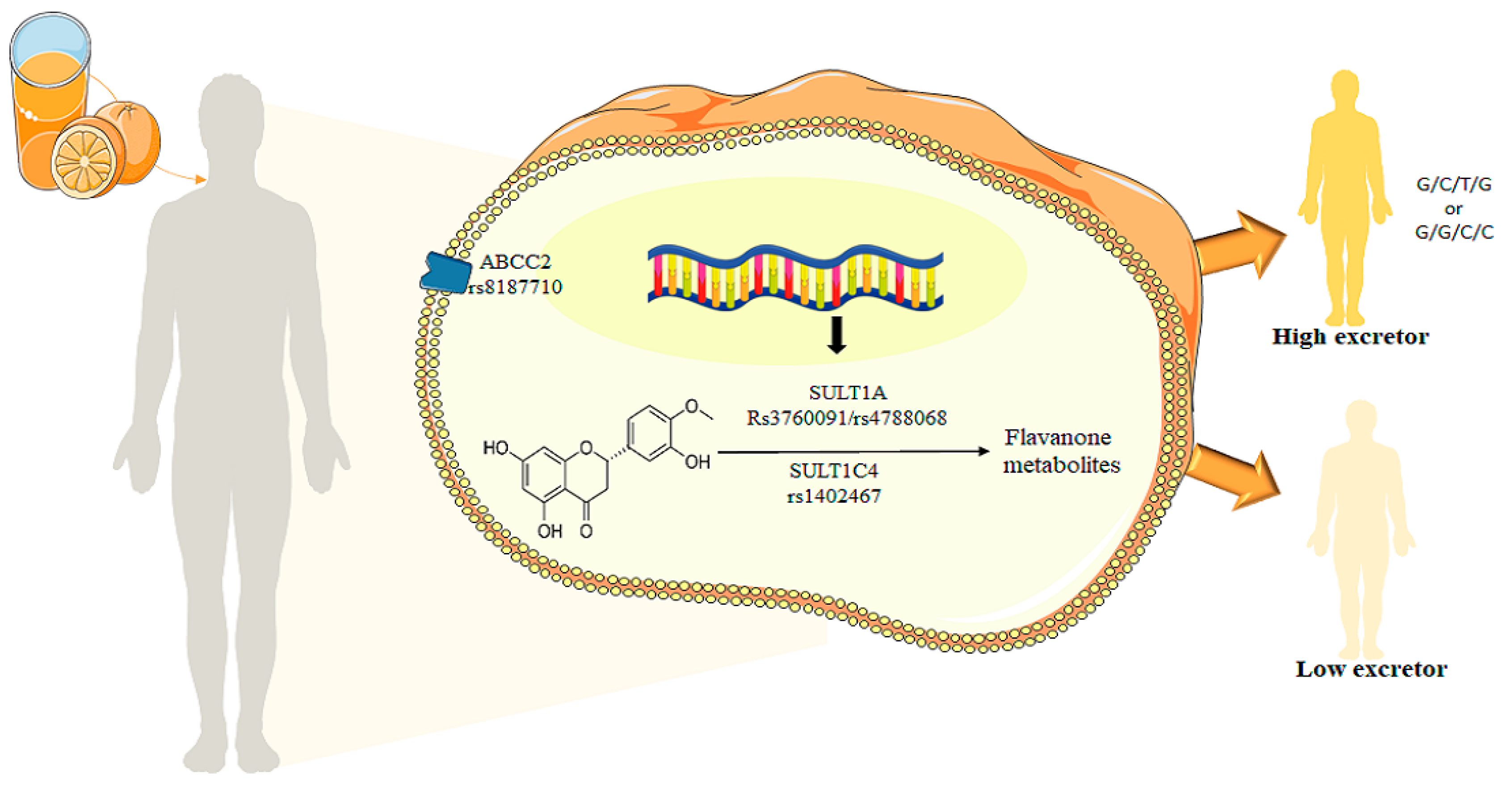 Nutrients 14 03770 g005