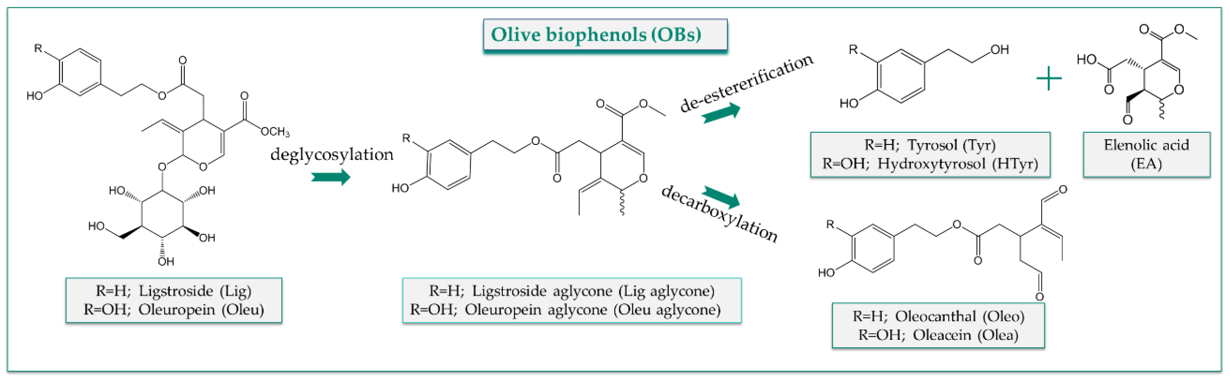 Nutrients 14 03773 g001