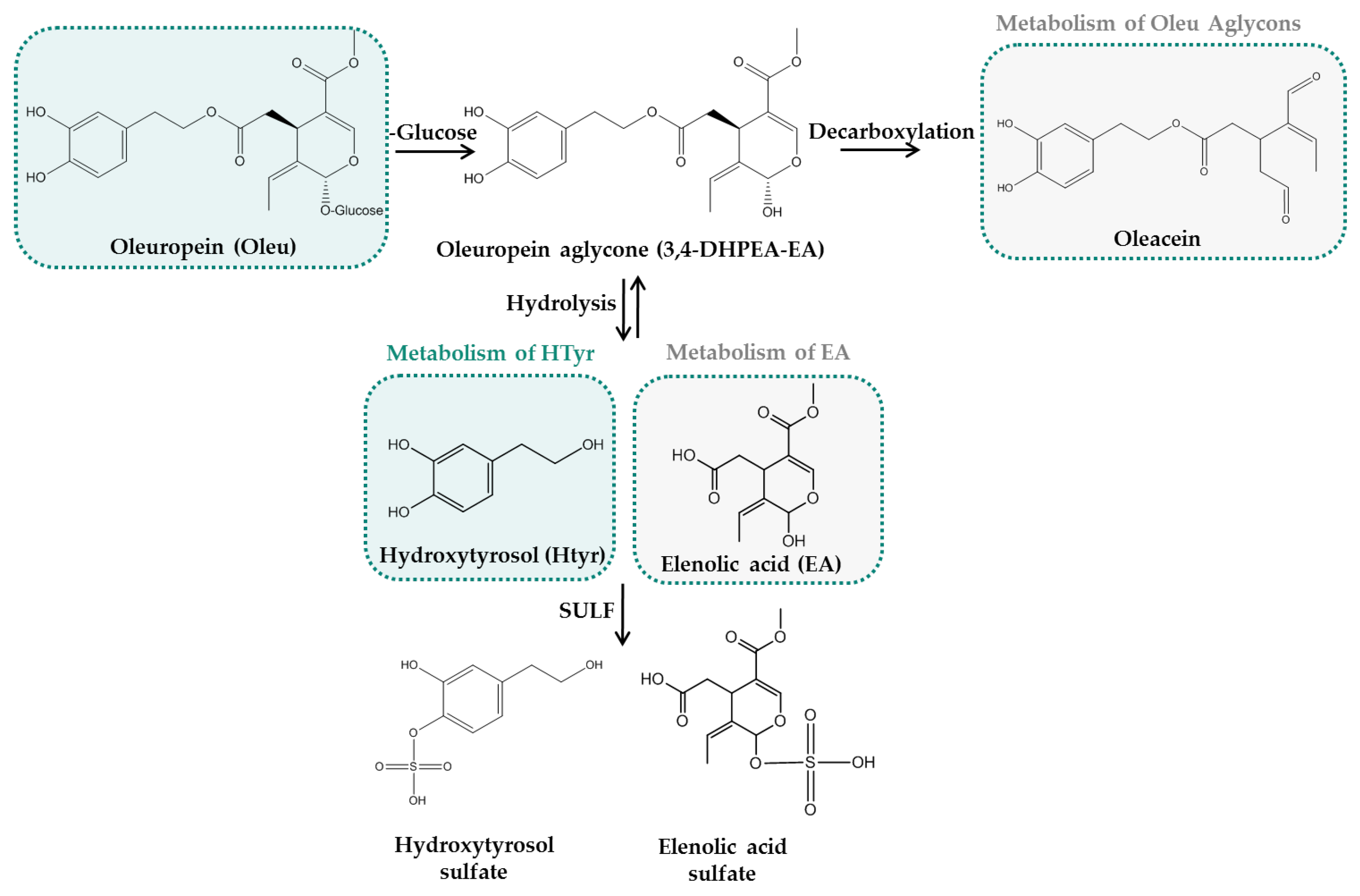 Nutrients 14 03773 g004