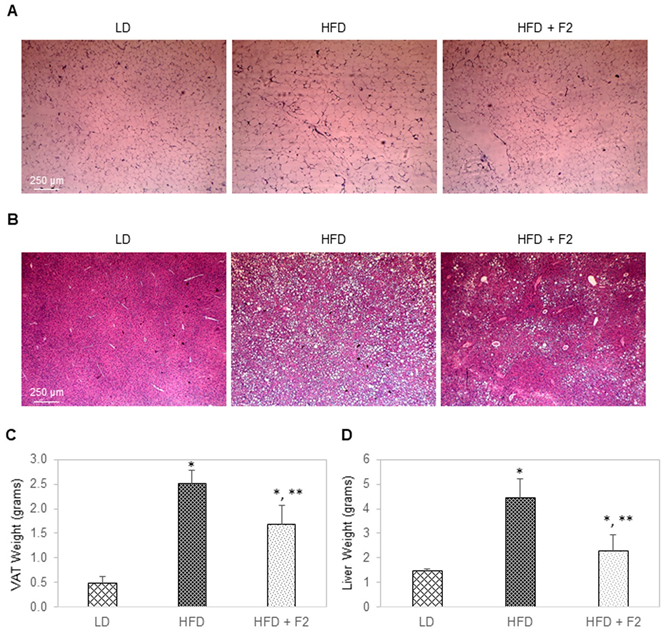 Nutrients 14 03784 g008