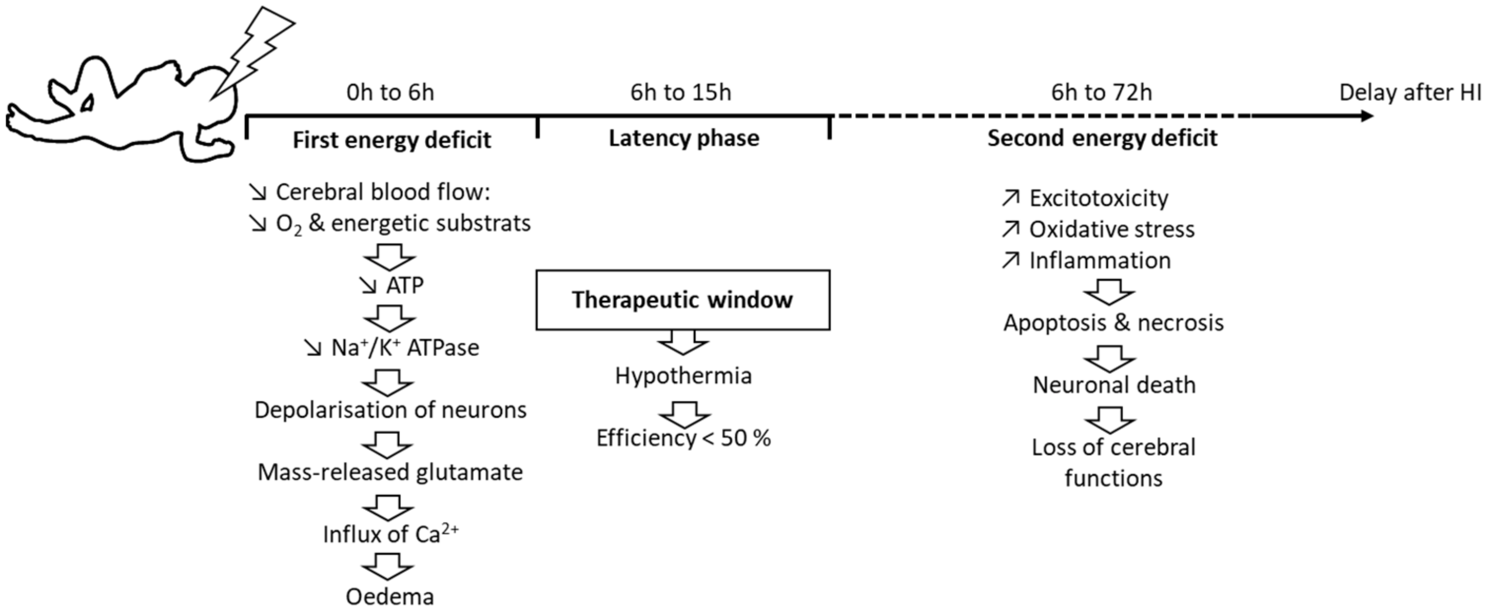 Nutrients 14 03793 g001