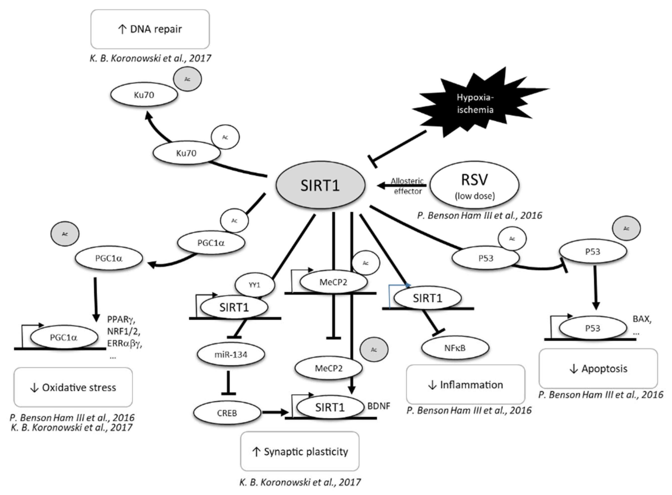 Nutrients 14 03793 g005