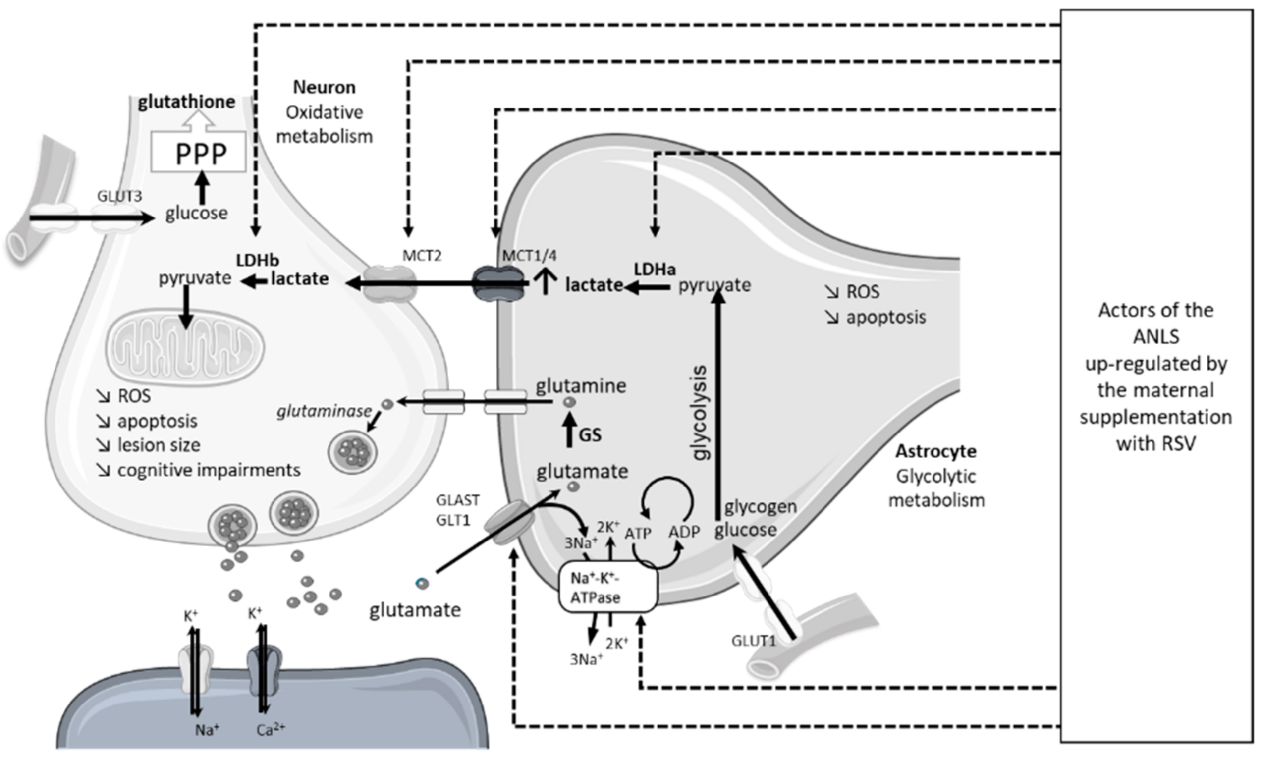 Nutrients 14 03793 g006