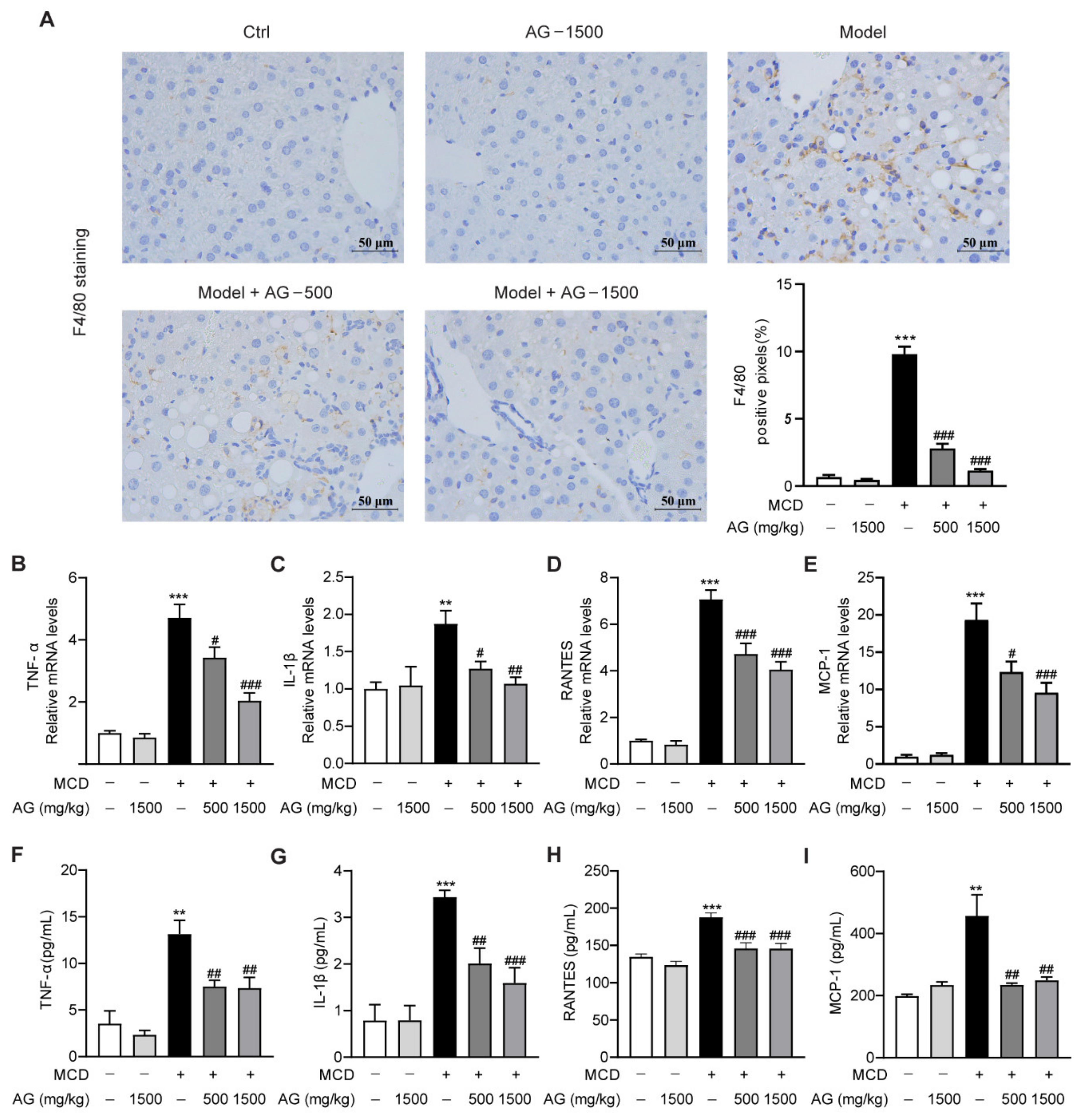Nutrients 14 03796 g004