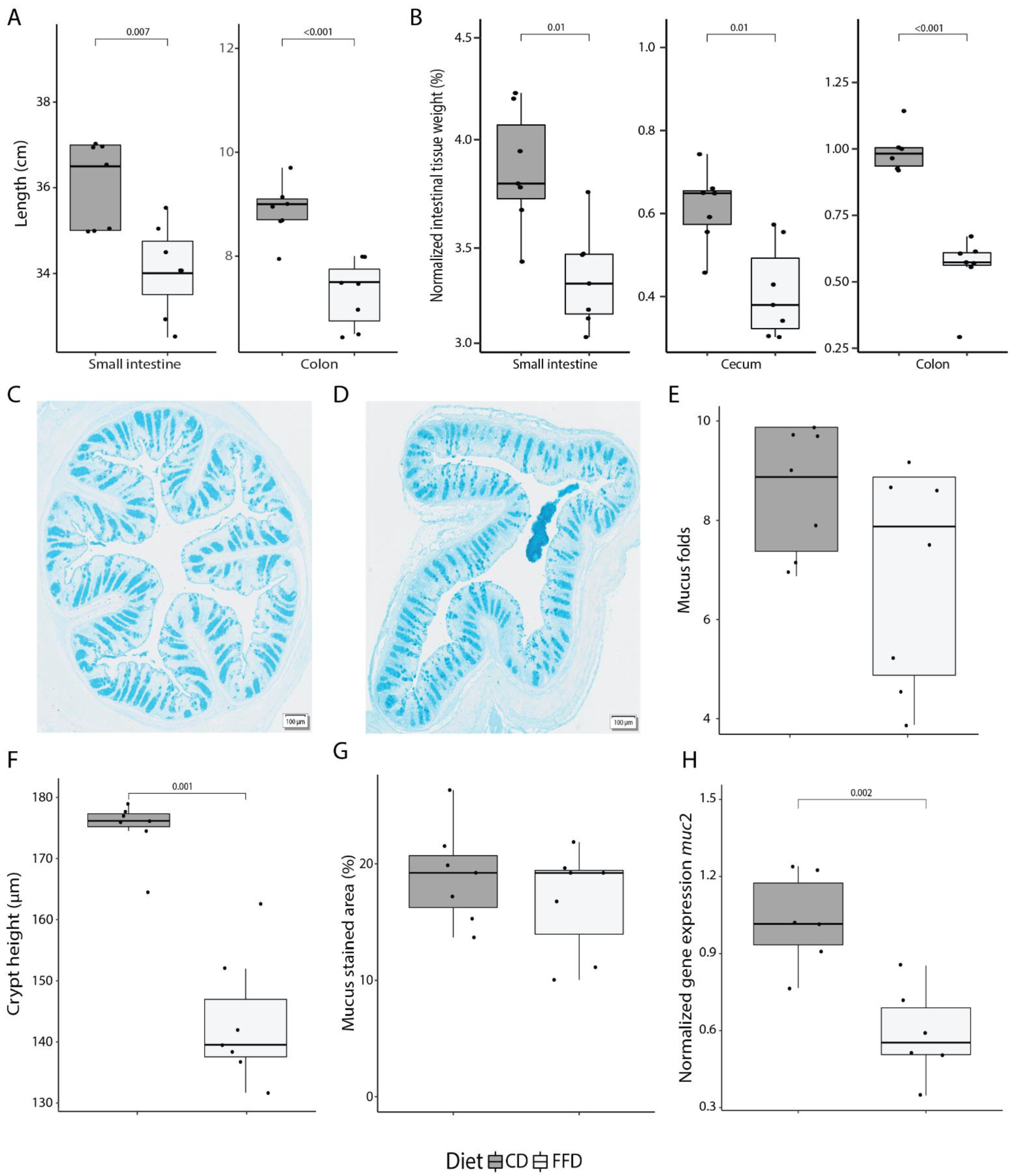 Nutrients 14 03802 g001