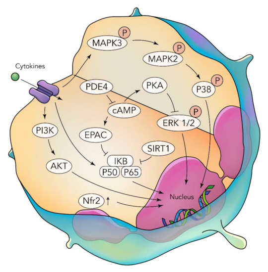 Nutrients 14 03828 g002