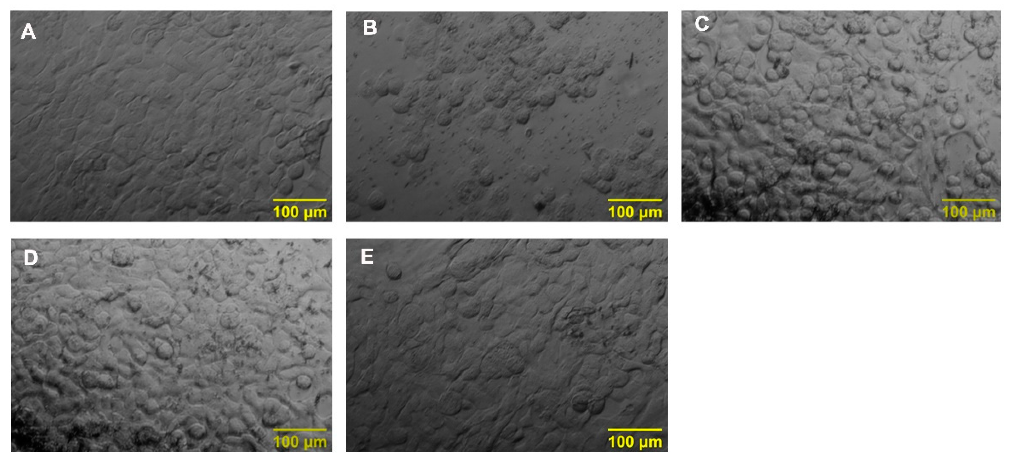 Nutrients 14 03829 g002
