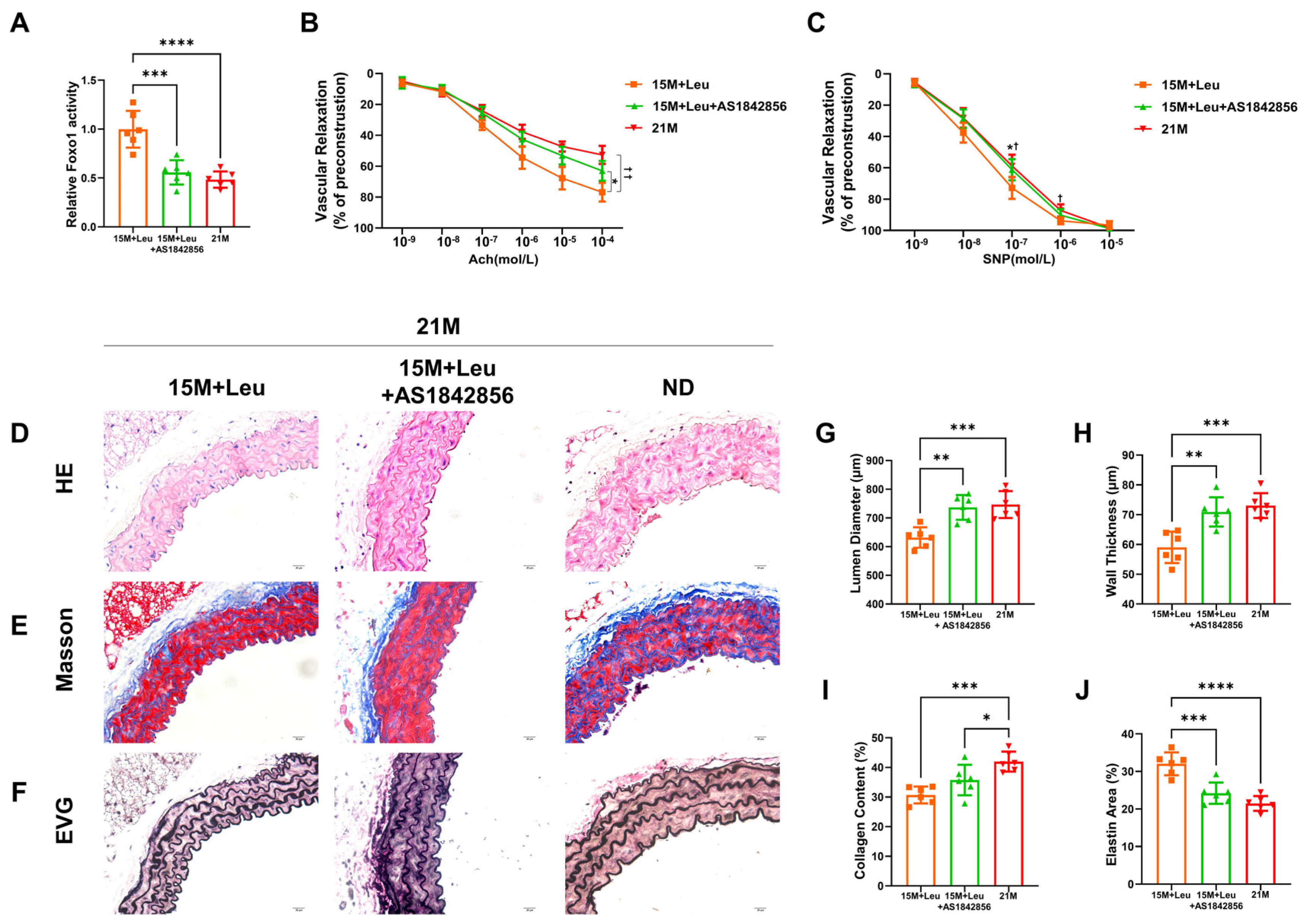 Nutrients 14 03856 g005