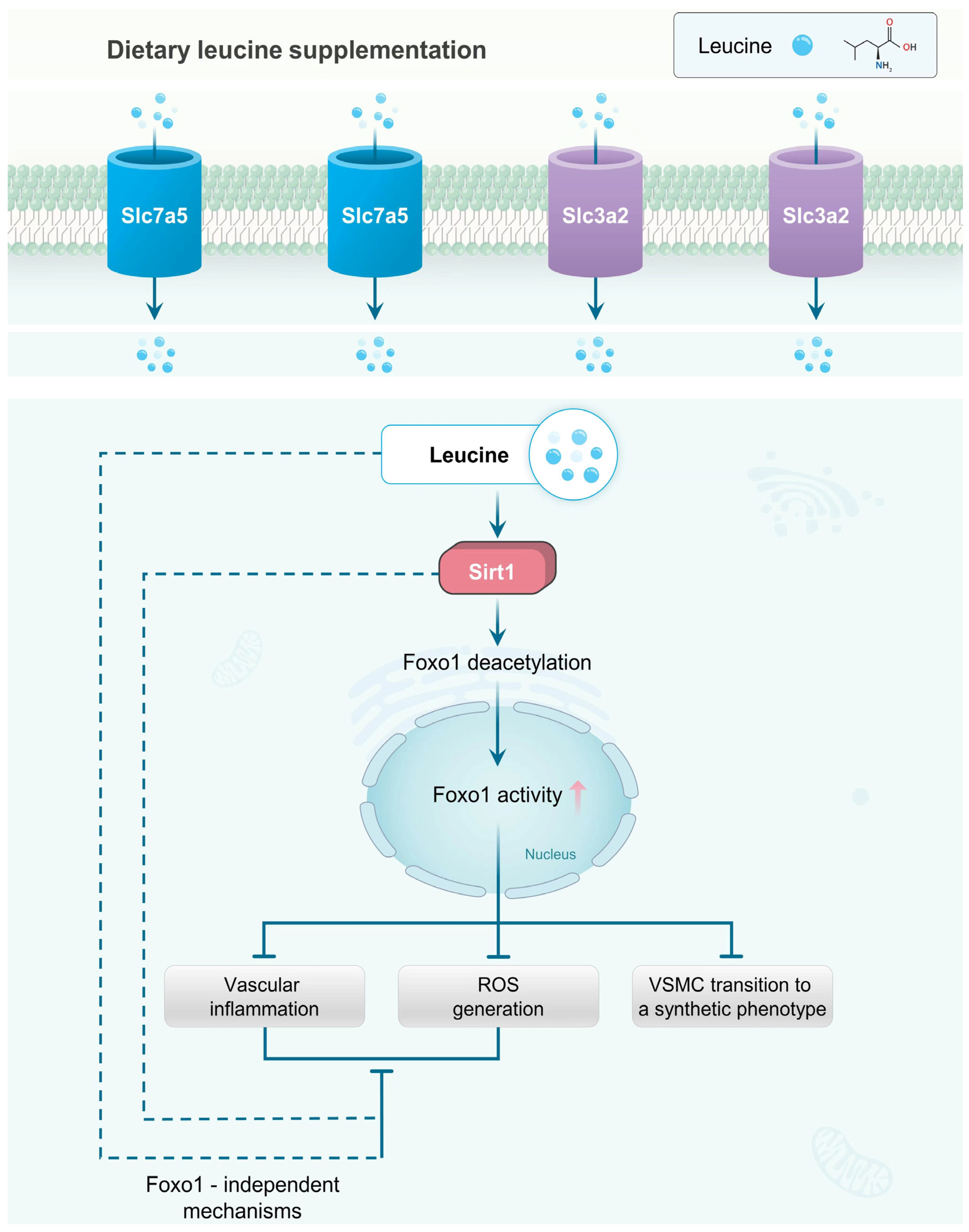 Nutrients 14 03856 g007