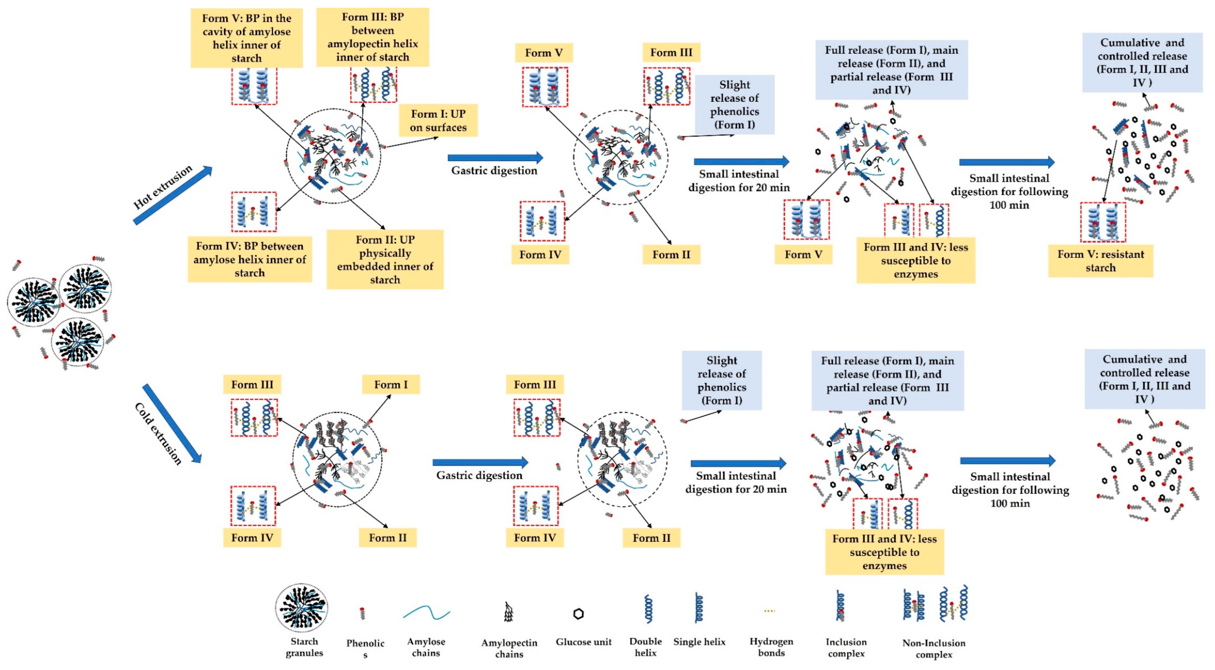 Nutrients 14 03864 g004