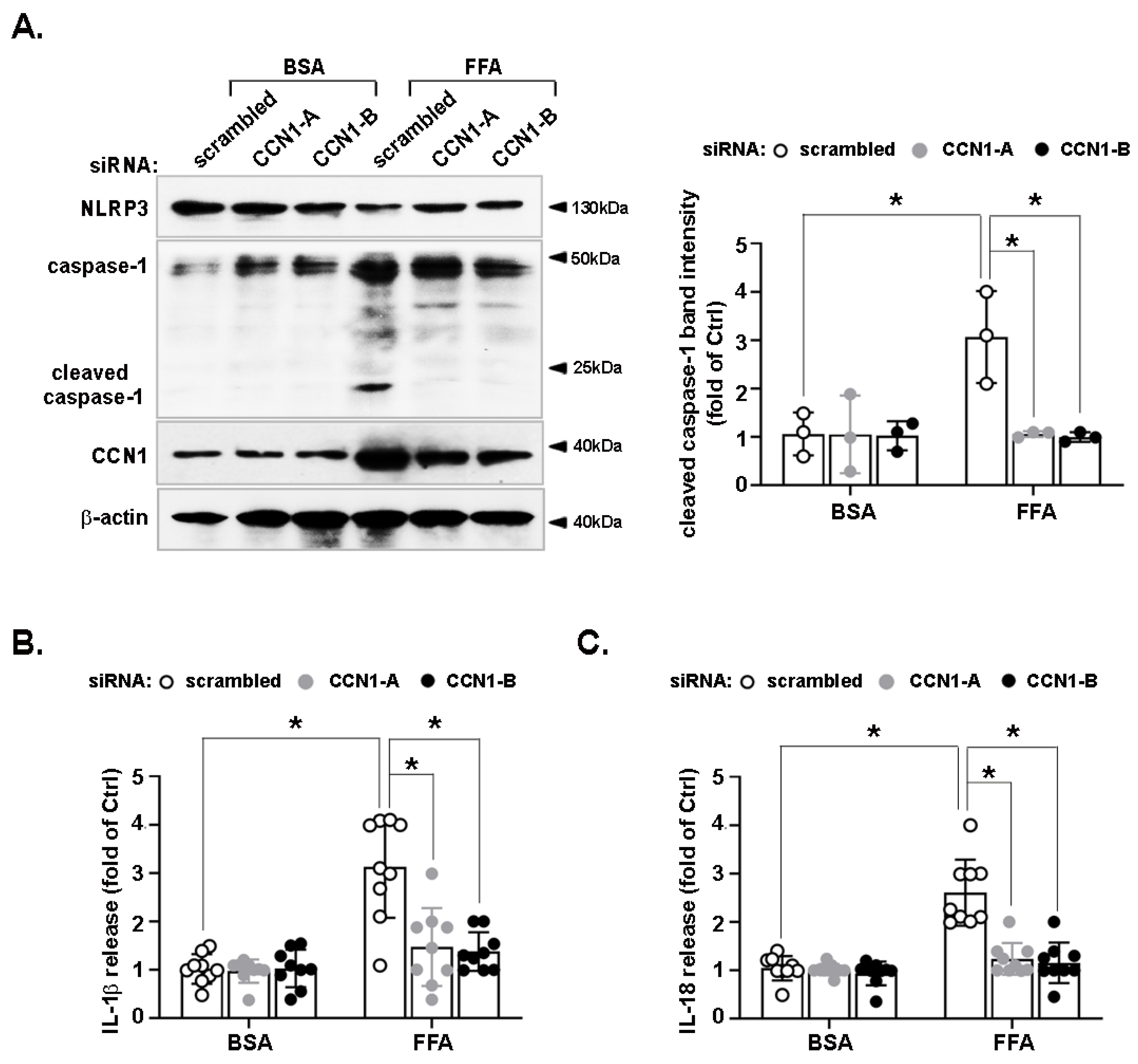 Nutrients 14 03871 g002 Nutrients 14 03871 g002