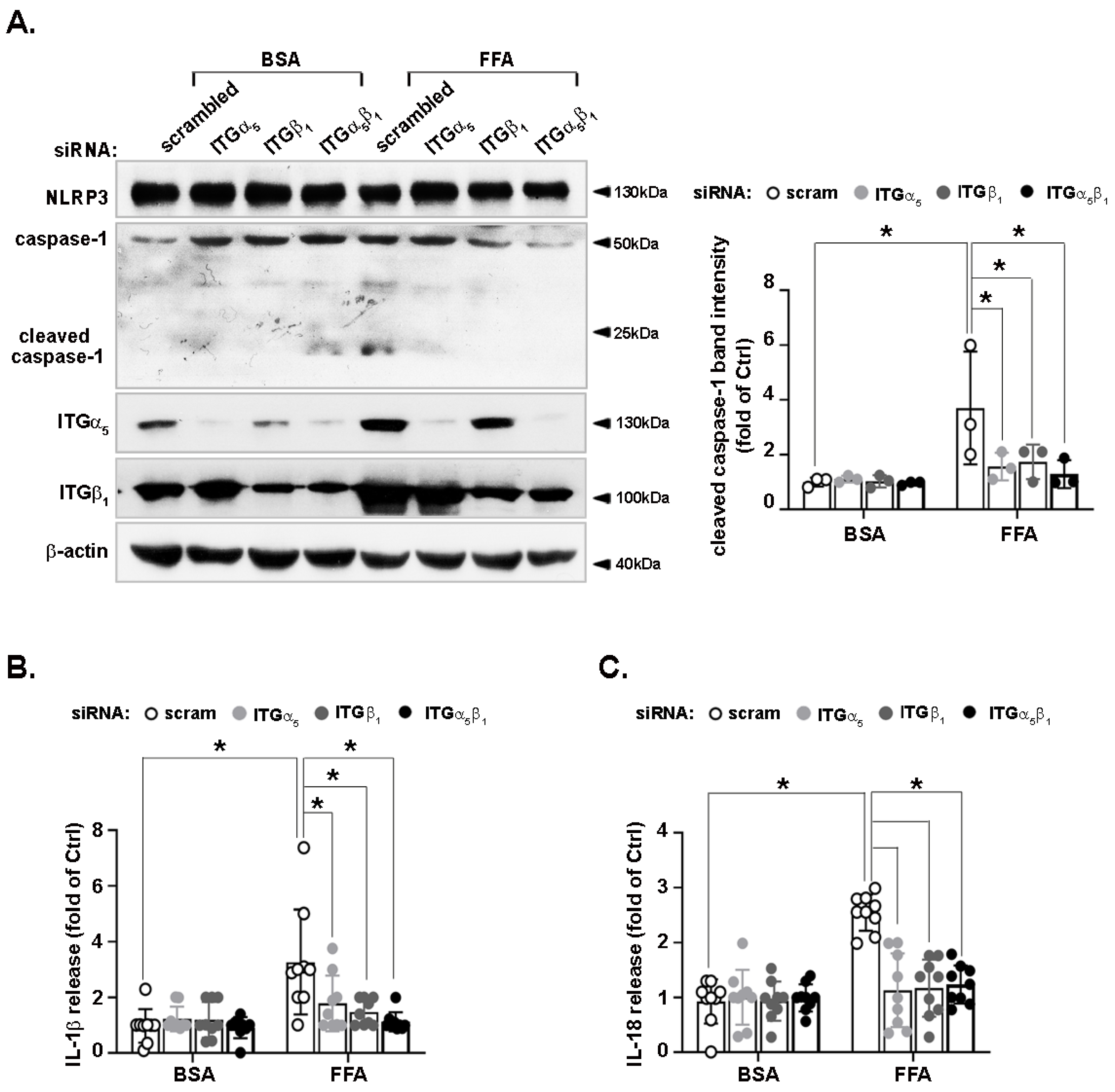 Nutrients 14 03871 g006 Nutrients 14 03871 g006