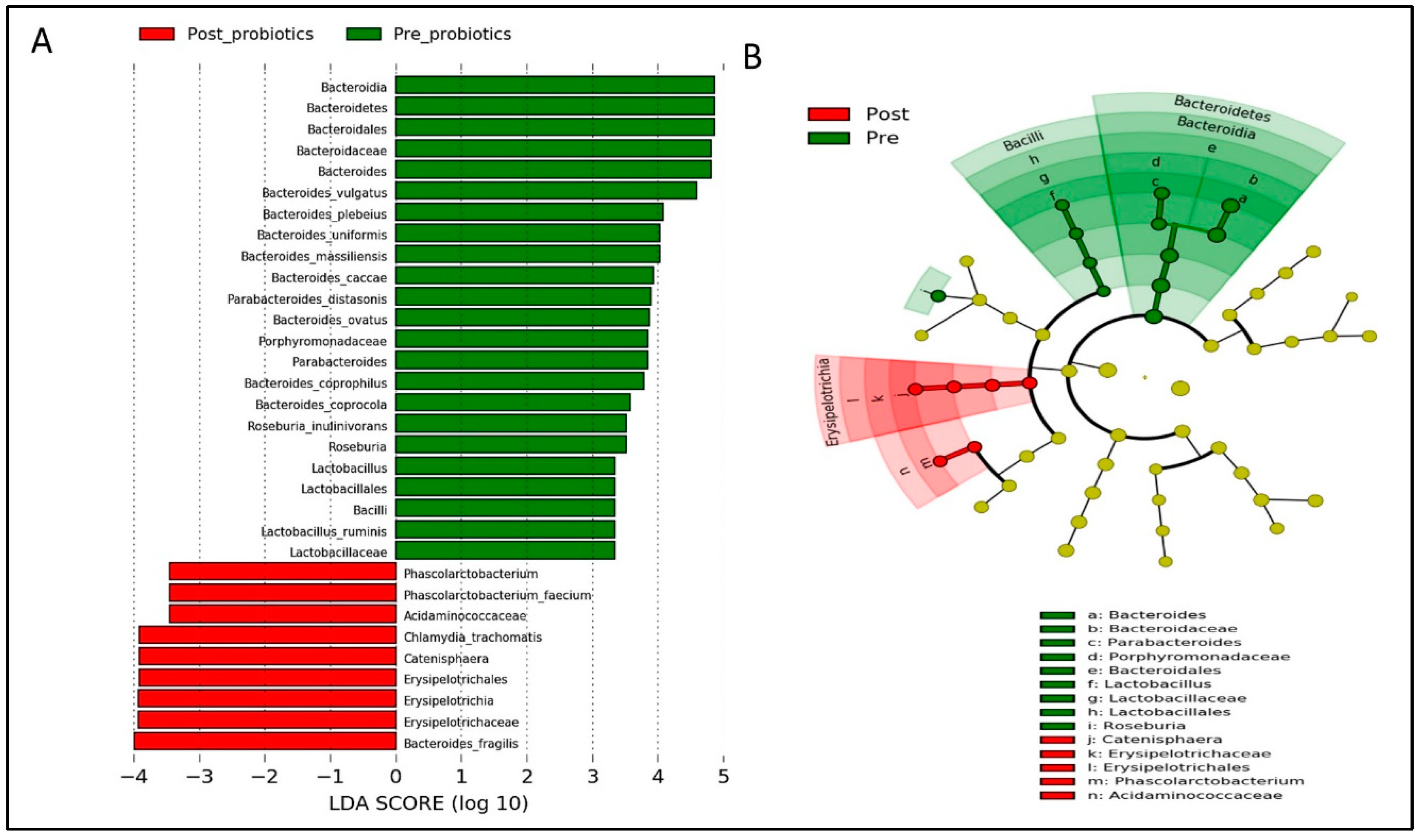 Nutrients 14 03878 g008