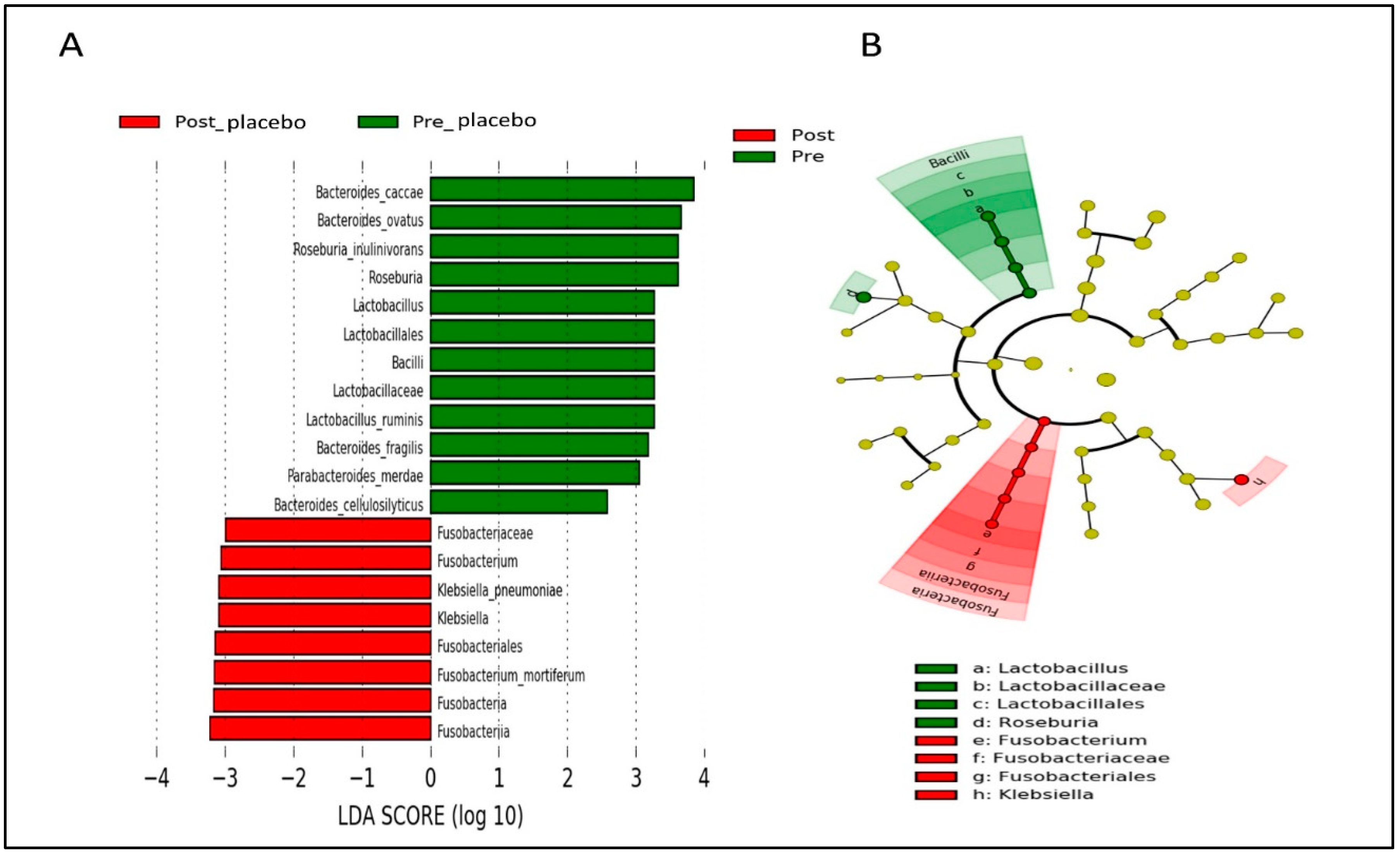 Nutrients 14 03878 g009