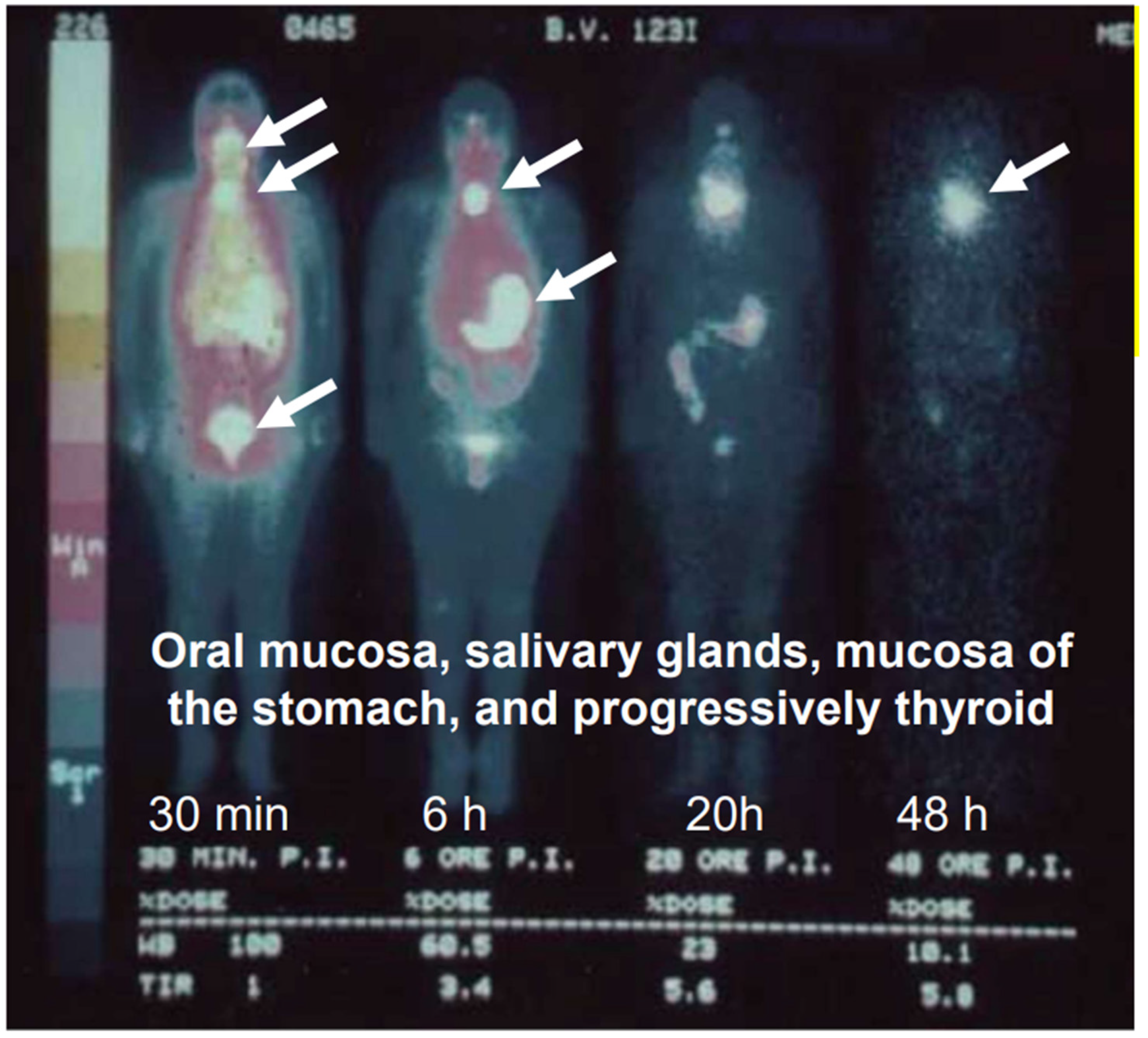 Nutrients 14 03886 g002