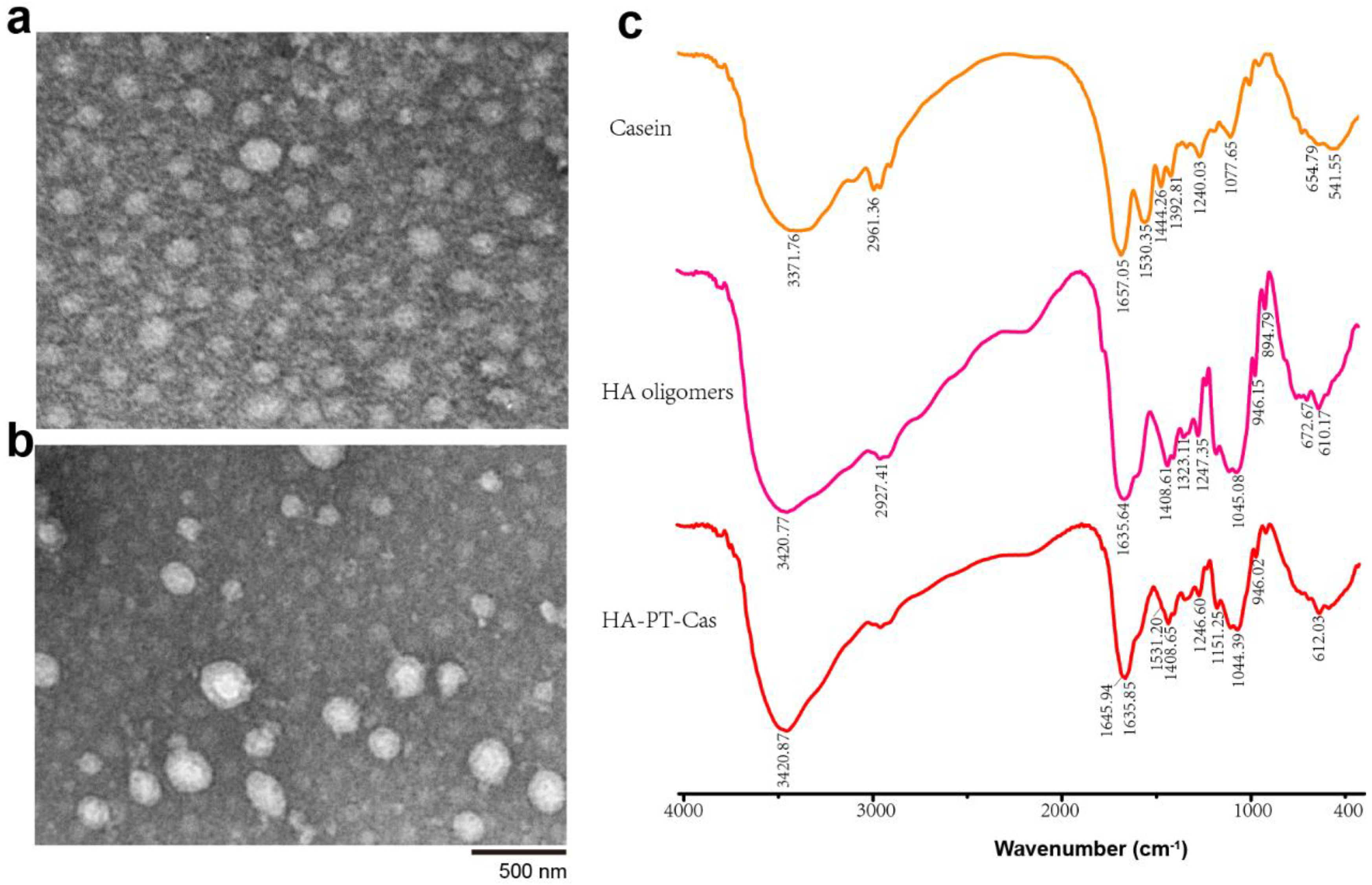 Nutrients 14 03888 g003