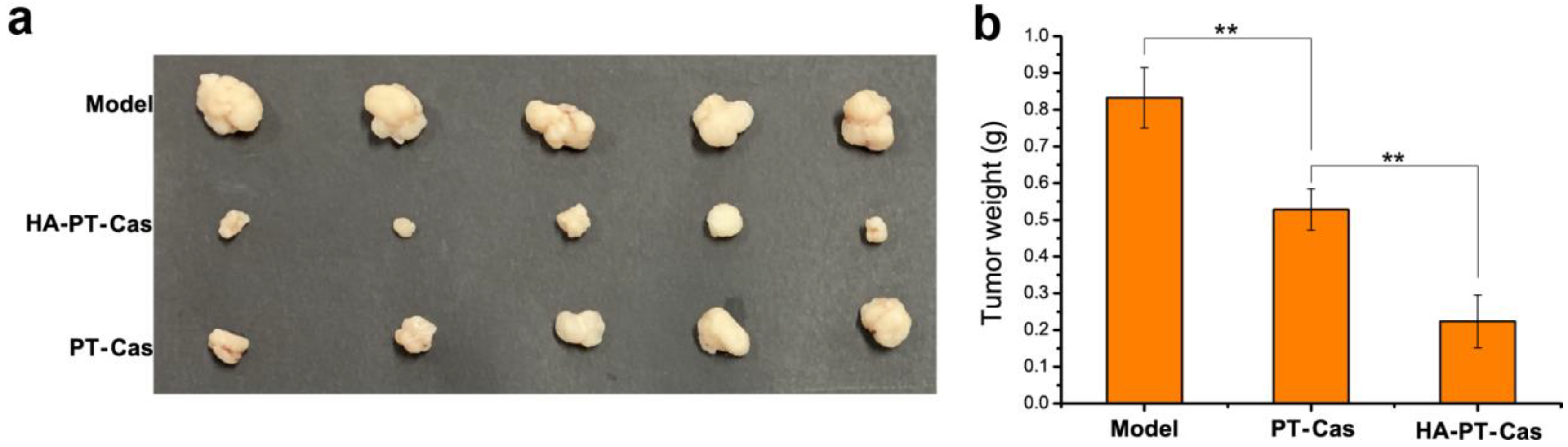 Nutrients 14 03888 g005