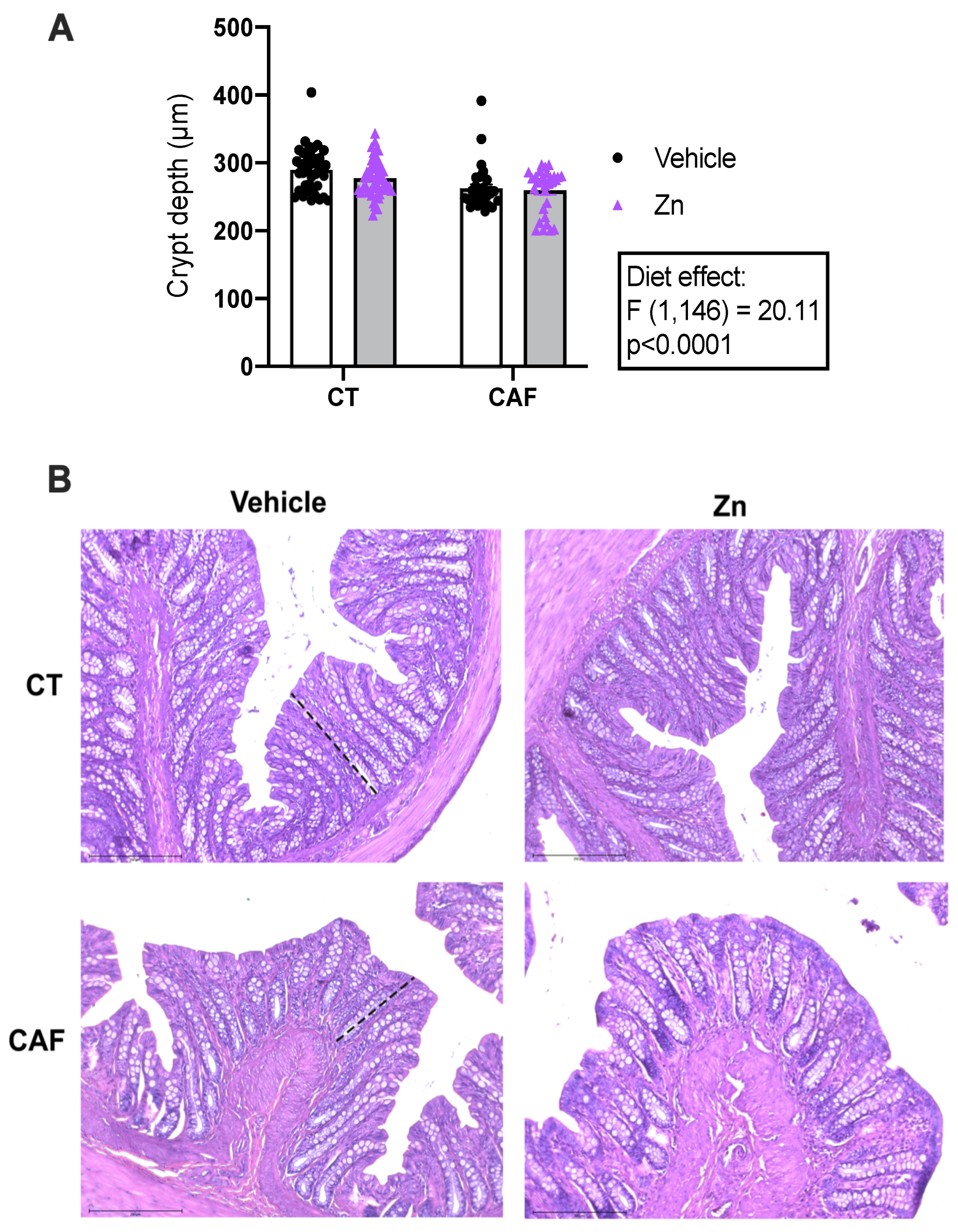 Nutrients 14 03921 g001 Nutrients 14 03921 g001