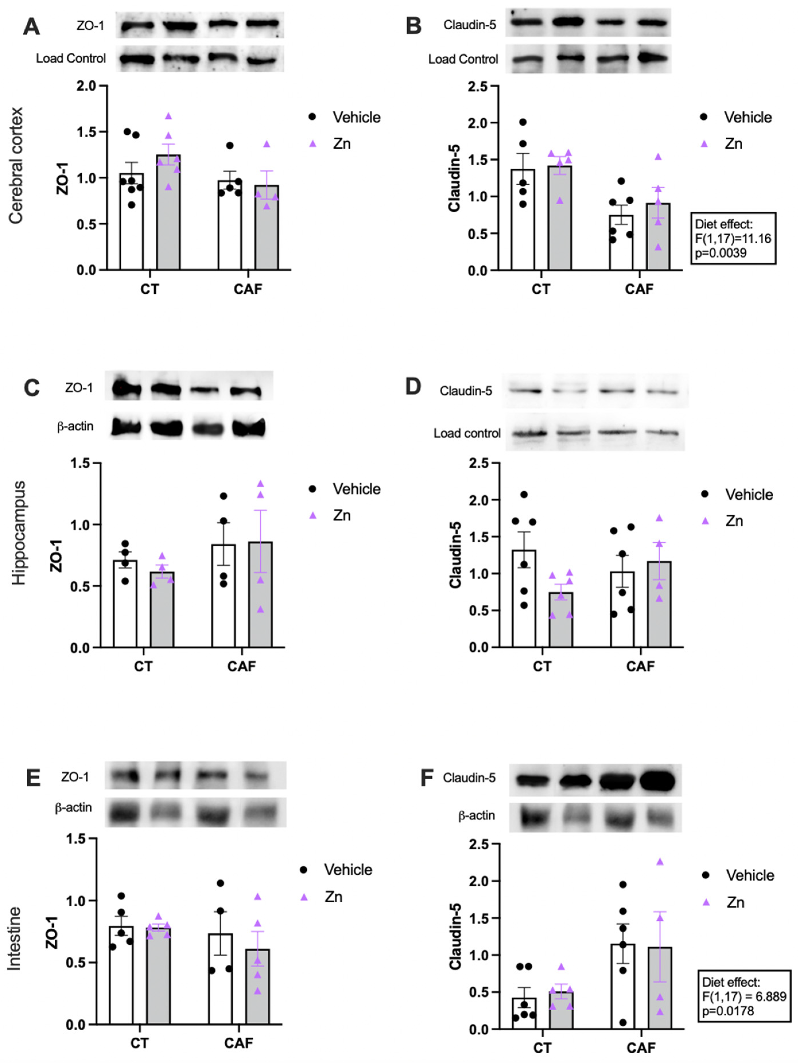 Nutrients 14 03921 g004 Nutrients 14 03921 g004