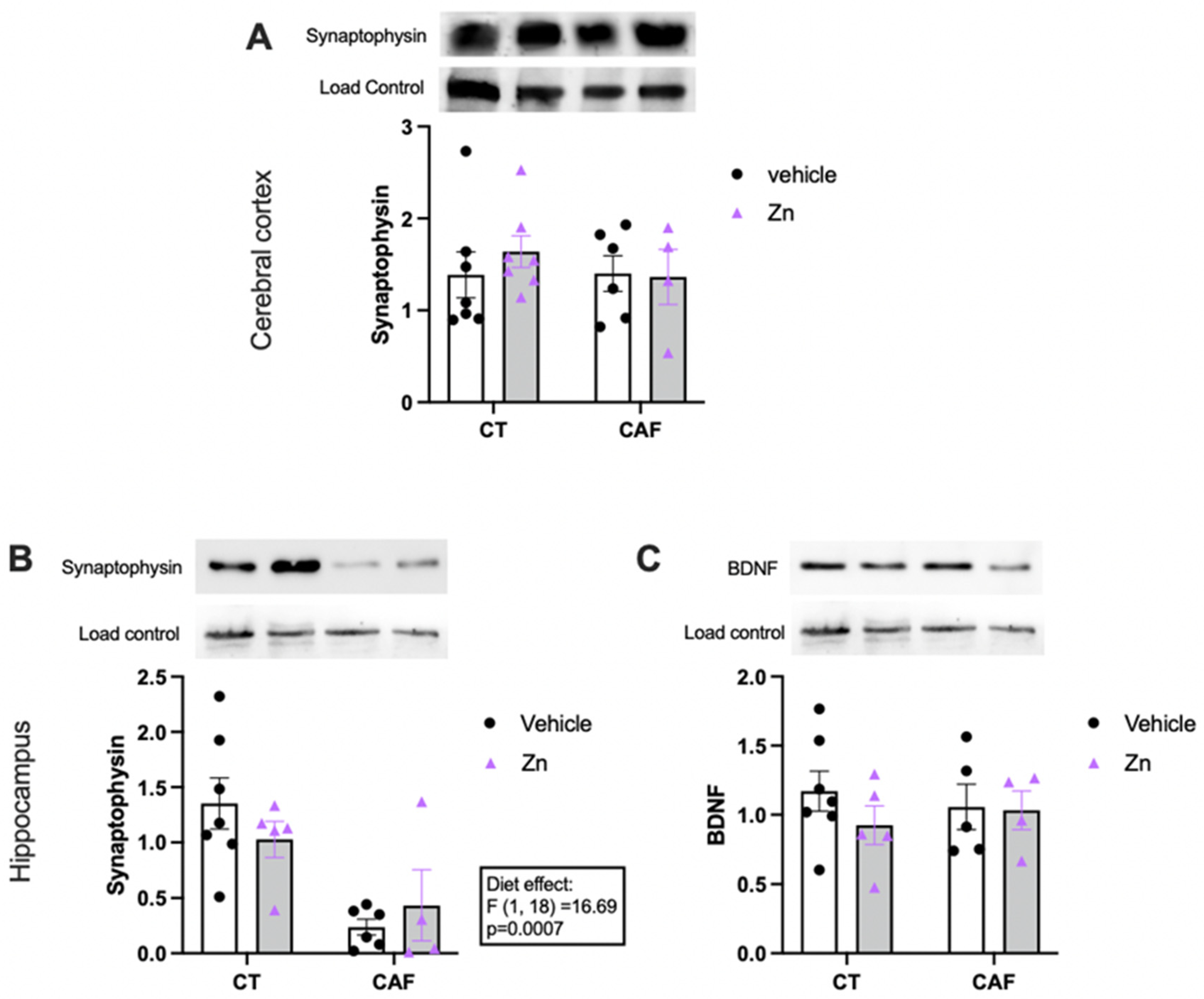 Nutrients 14 03921 g005 Nutrients 14 03921 g005