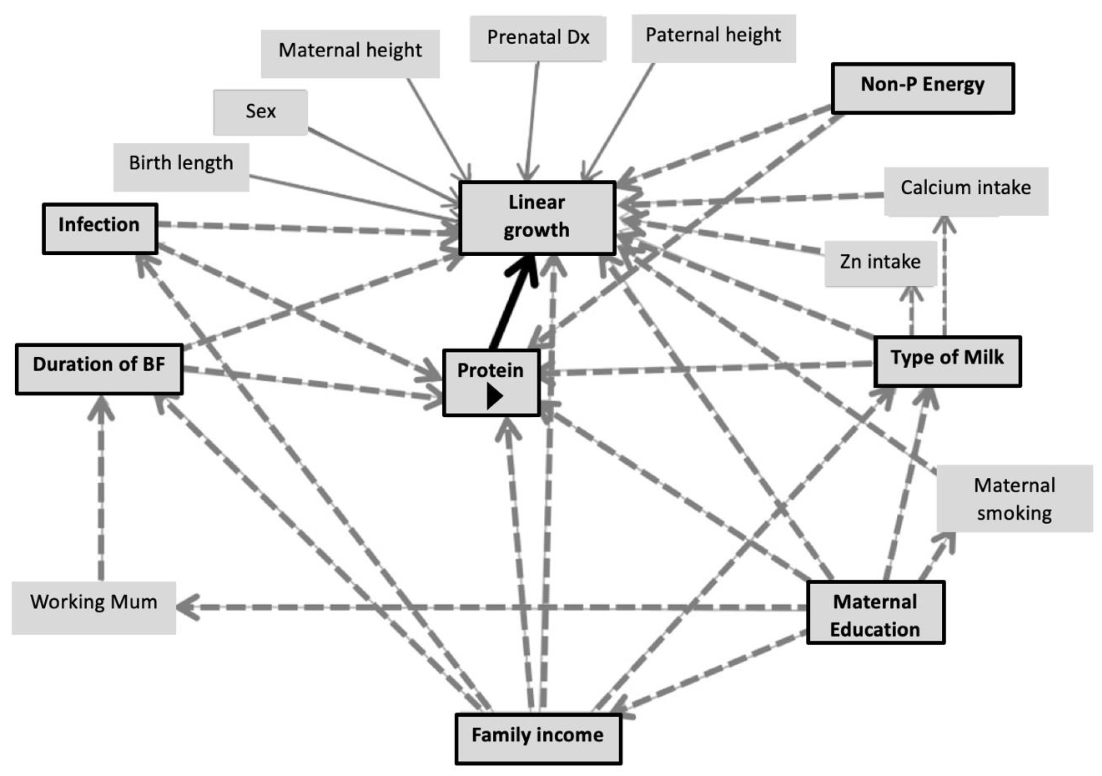 Nutrients 14 03948 g003b Nutrients 14 03948 g003b