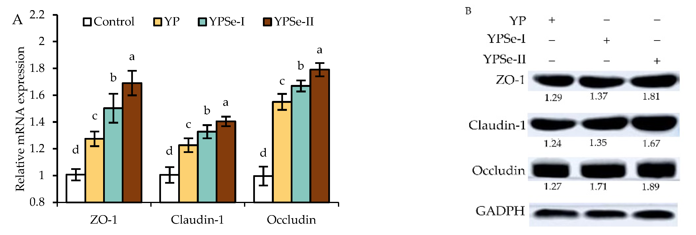 Nutrients 14 03950 g007